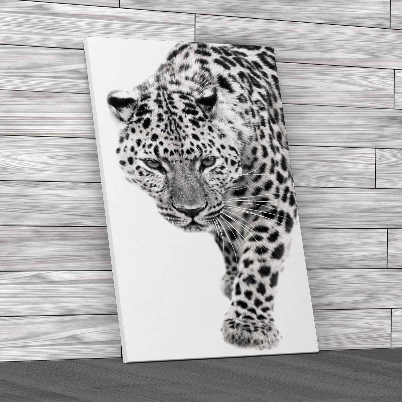 Close Prowling Leopard Canvas Print Large Picture Wall Art - Picture 3 of 12