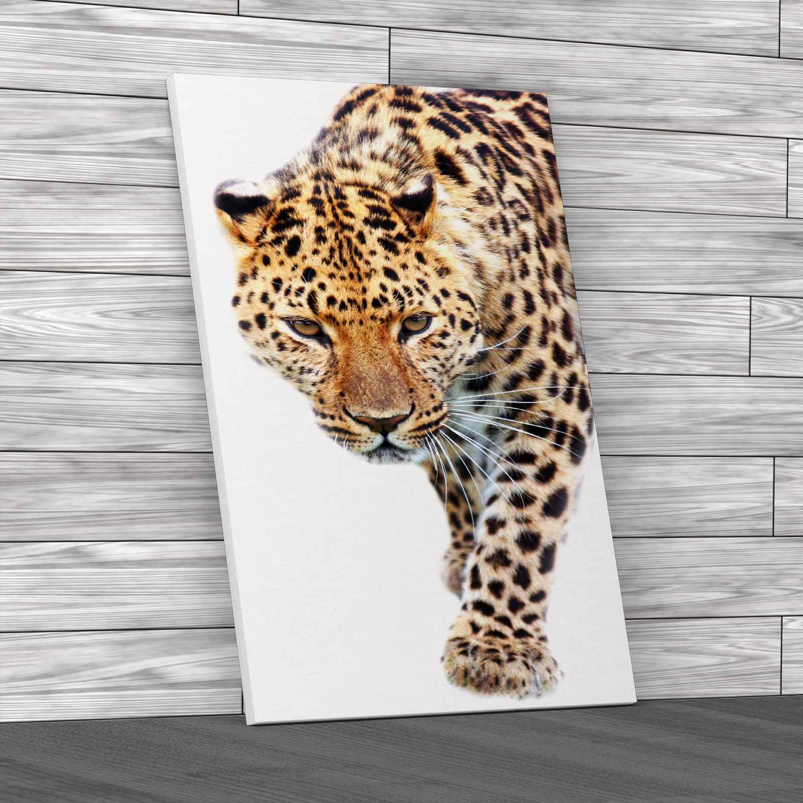 Close Prowling Leopard Canvas Print Large Picture Wall Art - Picture 2 of 12