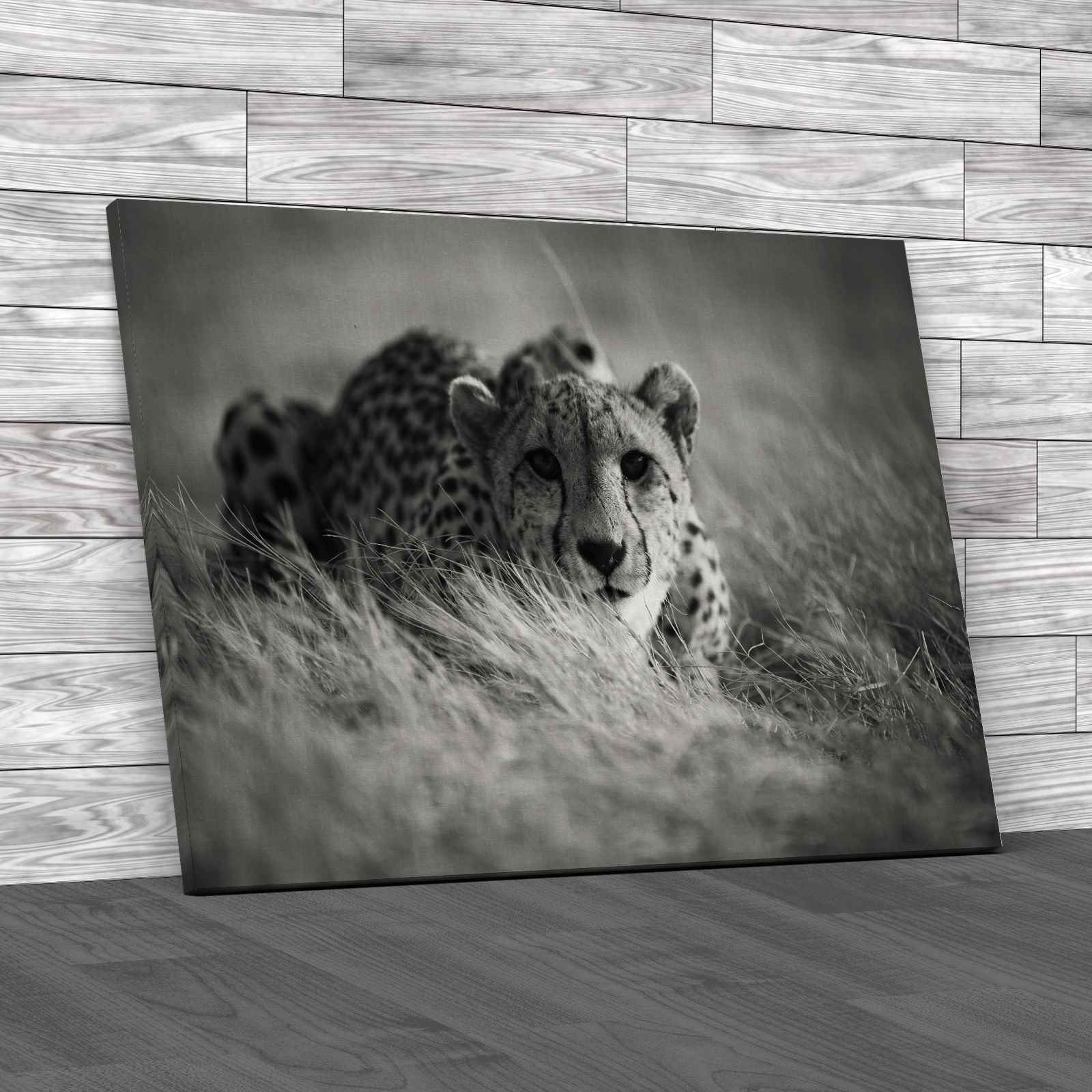 thumbnail image 2 of Huge Original World Map Canvas Print - High Detail, Ready To Hang Wall Art For Your Home 2 of 3
