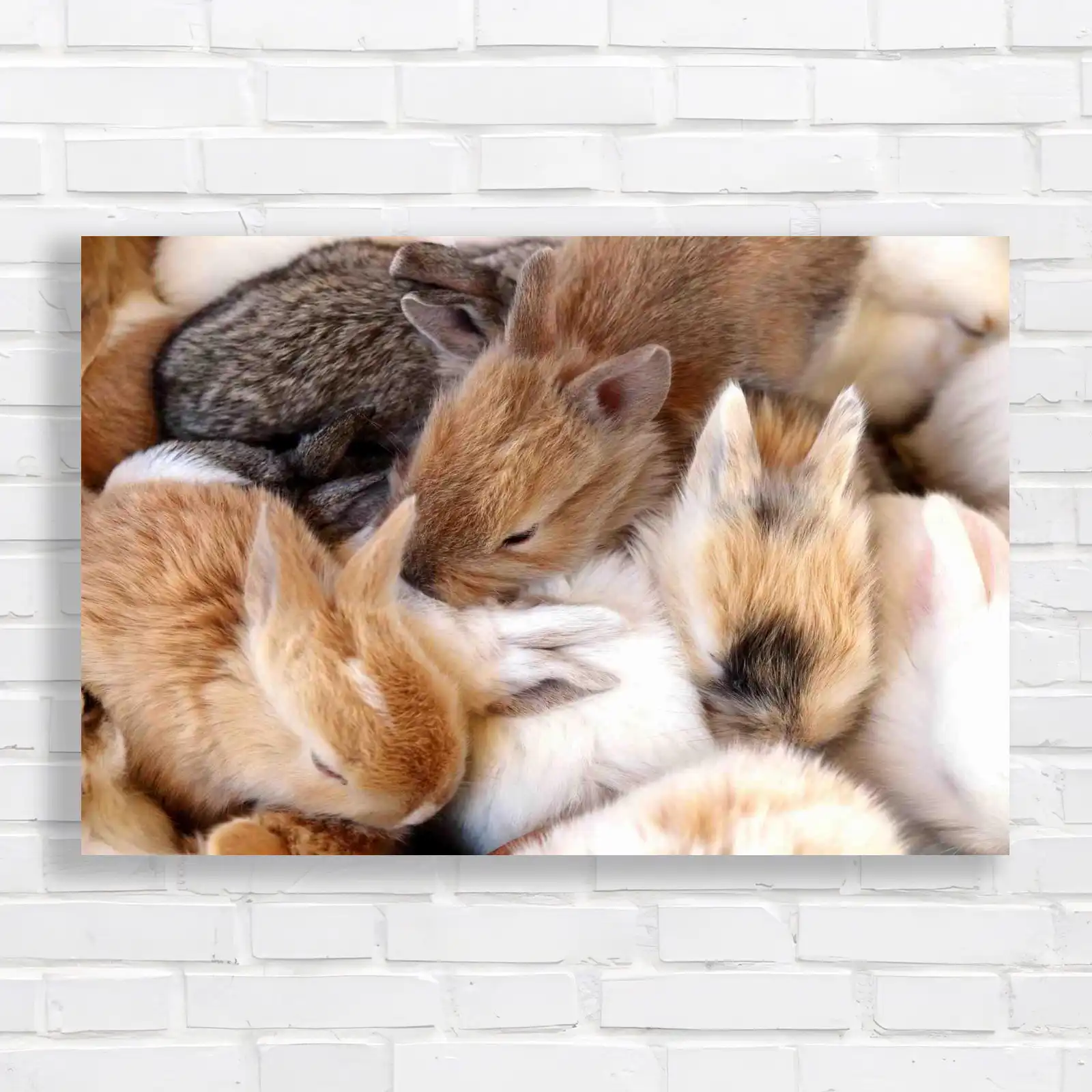 Cute Rabbits Canvas Print Large Picture Wall Art | eBay UK