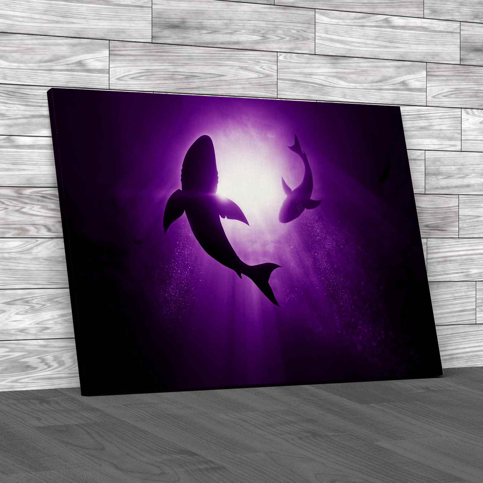Great White Sharks Circling Canvas Print Large Picture Wall Art - Picture 8 of 12
