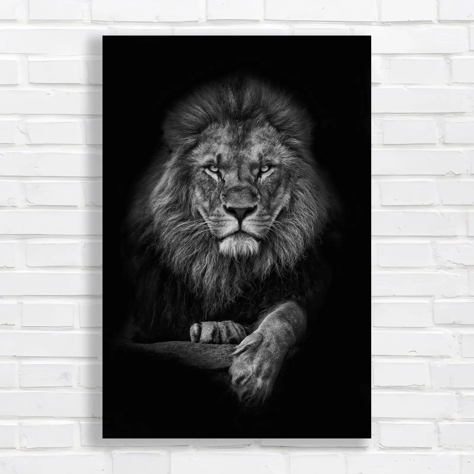 Majestic Lion Black and White Canvas Print Large Picture Wall Art