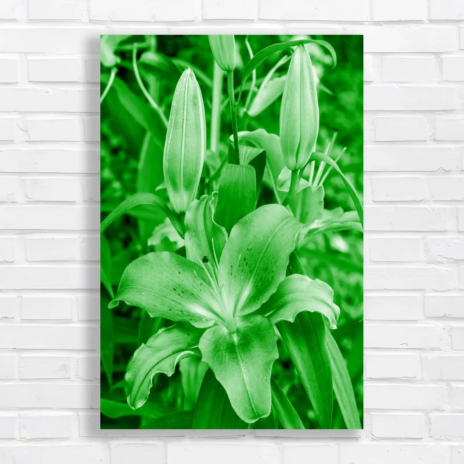 Vibrant Pink Lily Flower Canvas Print Large Picture Wall Art
