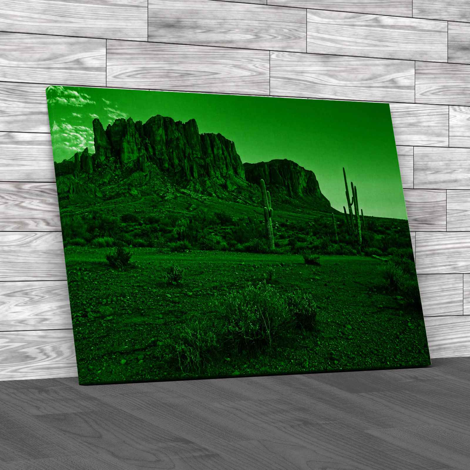 Desert And Mountains In Arizona Canvas Print Large Picture Wall Art