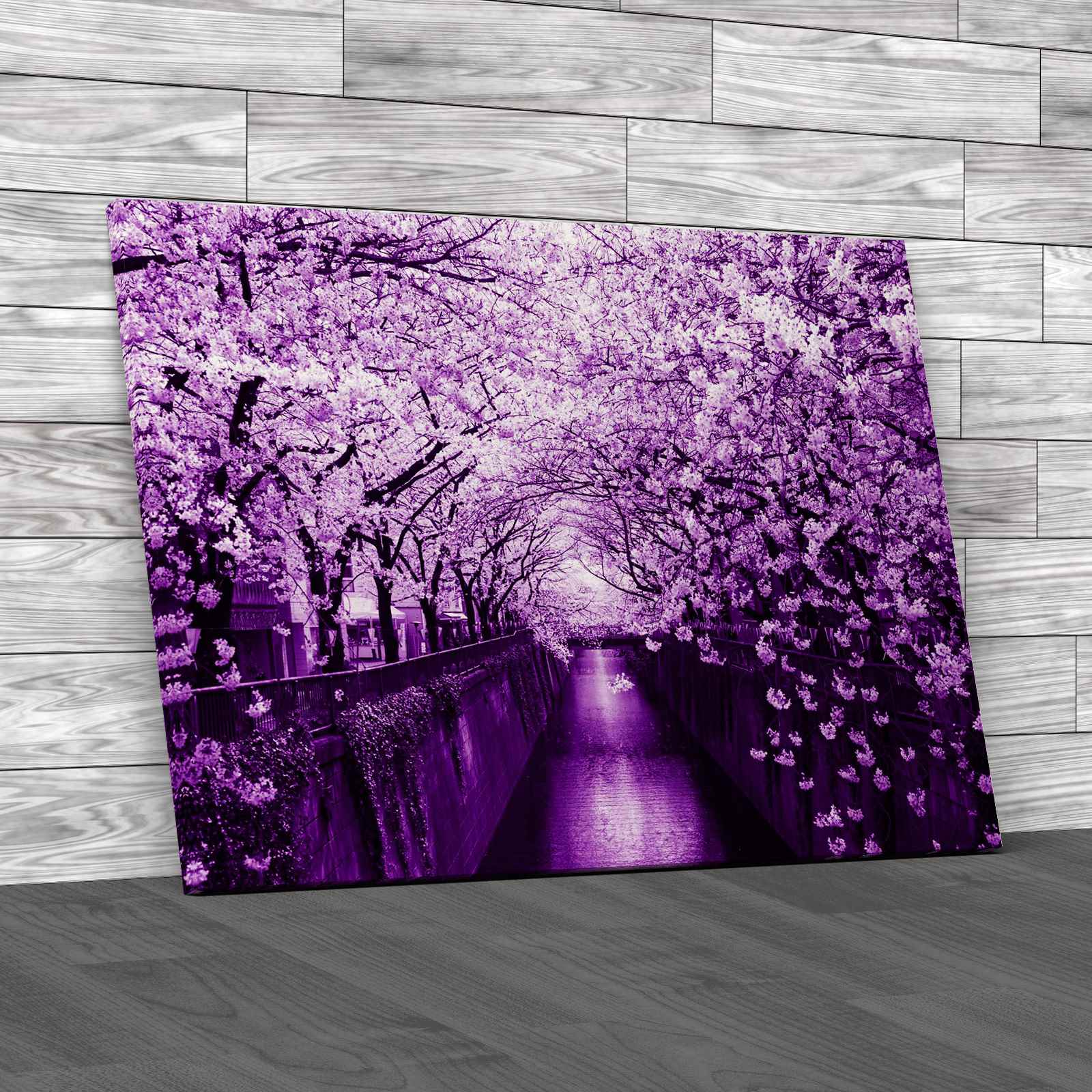 Cherry Blossom Tunnel Over River Canvas Print Large Picture Wall Art eBay