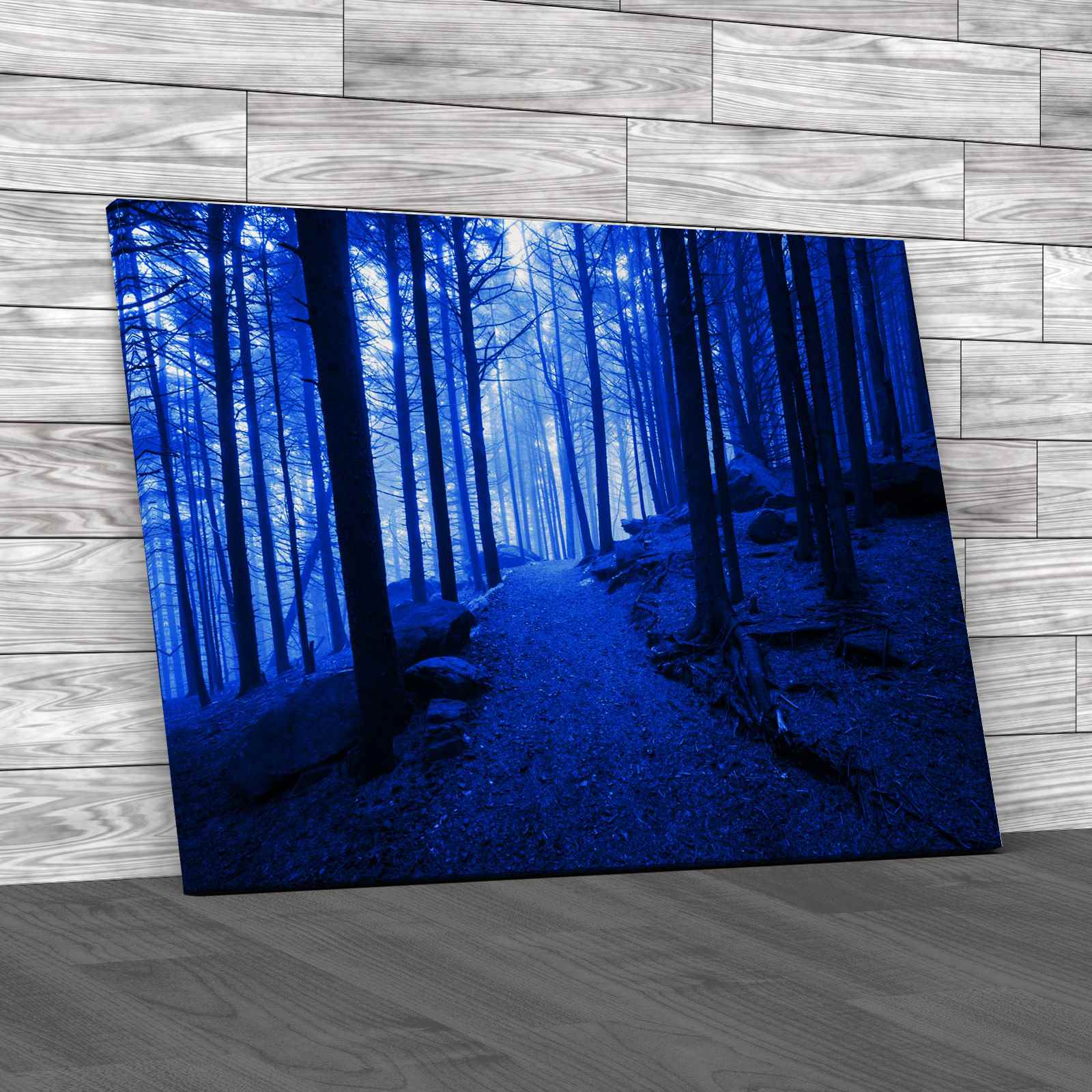 Appalachian Trail North Carolina Canvas Print Large Picture Wall Art eBay