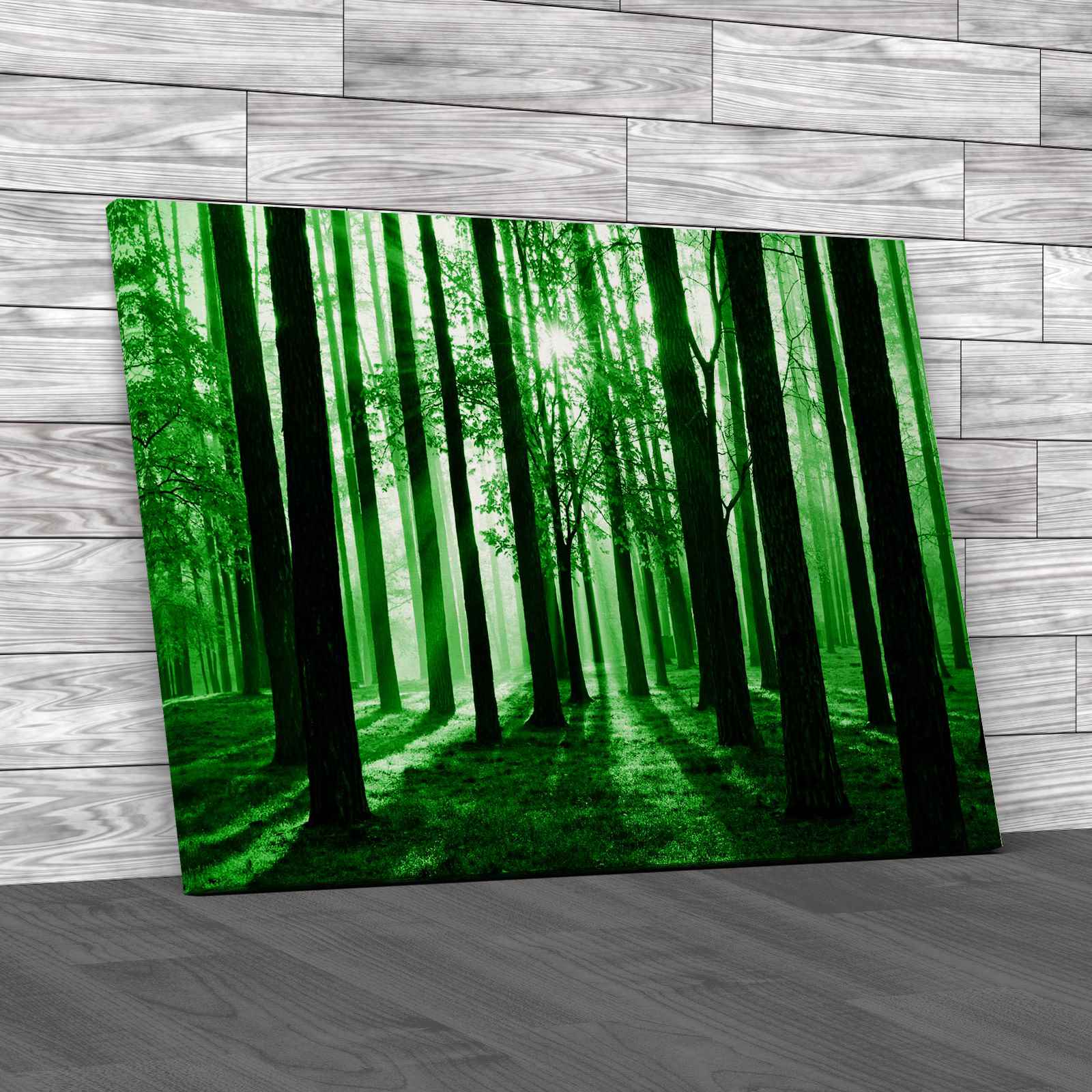 Morning Scene In The Forest Canvas Print Large Picture Wall Art - Picture 7 of 12