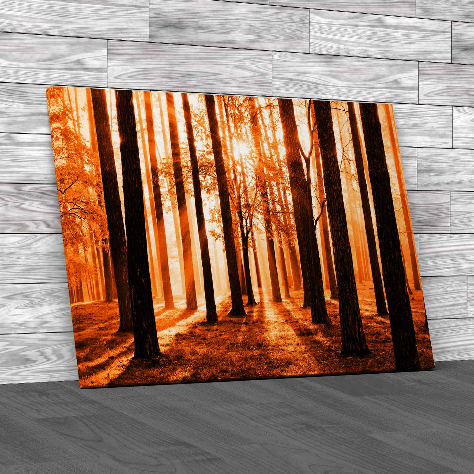 Morning Scene In The Forest Canvas Print Large Picture Wall Art - Picture 11 of 12