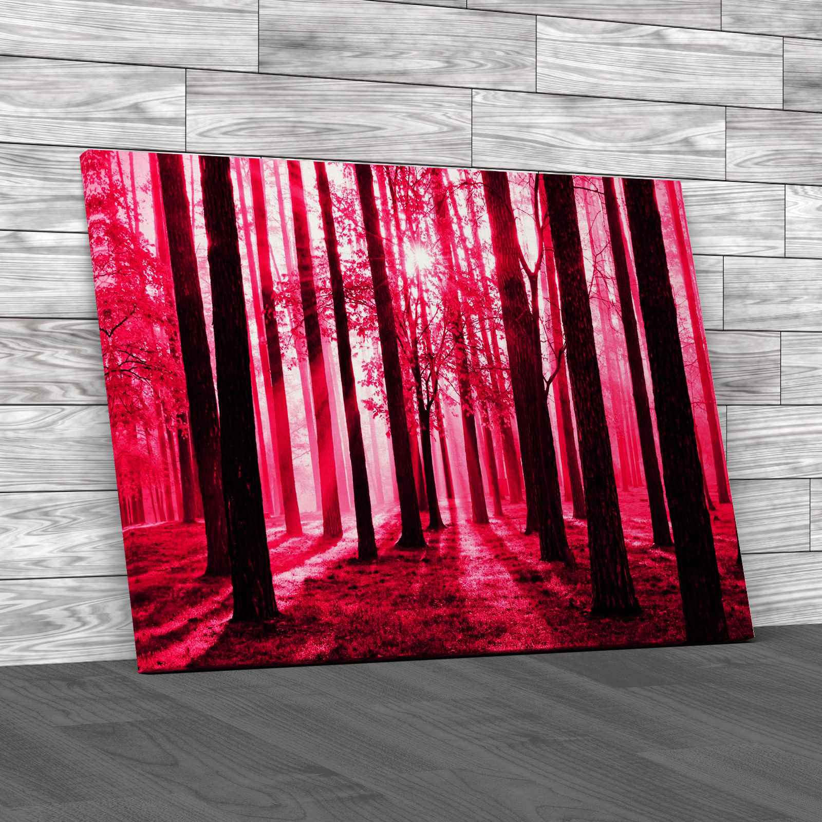 Morning Scene In The Forest Canvas Print Large Picture Wall Art - Picture 9 of 12