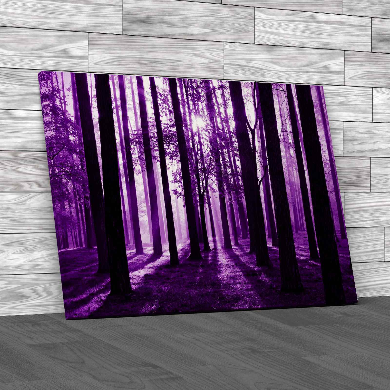 Morning Scene In The Forest Canvas Print Large Picture Wall Art - Picture 8 of 12
