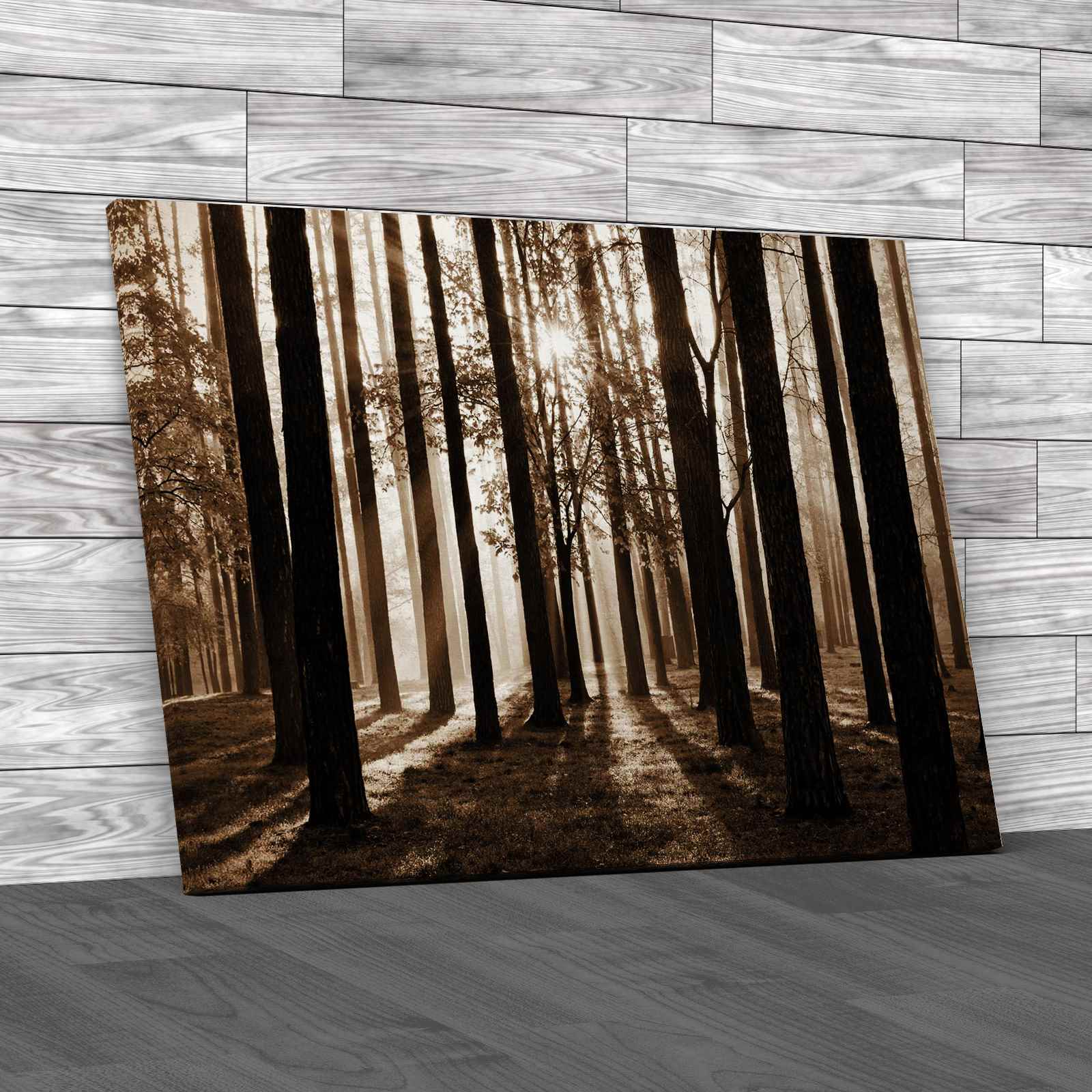 Morning Scene In The Forest Canvas Print Large Picture Wall Art - Picture 12 of 12
