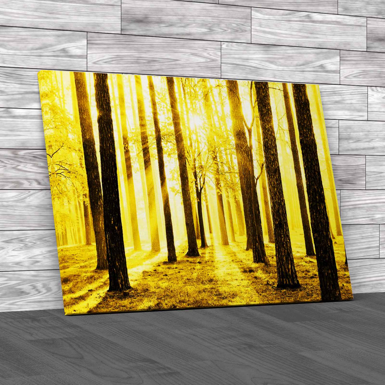 Morning Scene In The Forest Canvas Print Large Picture Wall Art - Picture 10 of 12