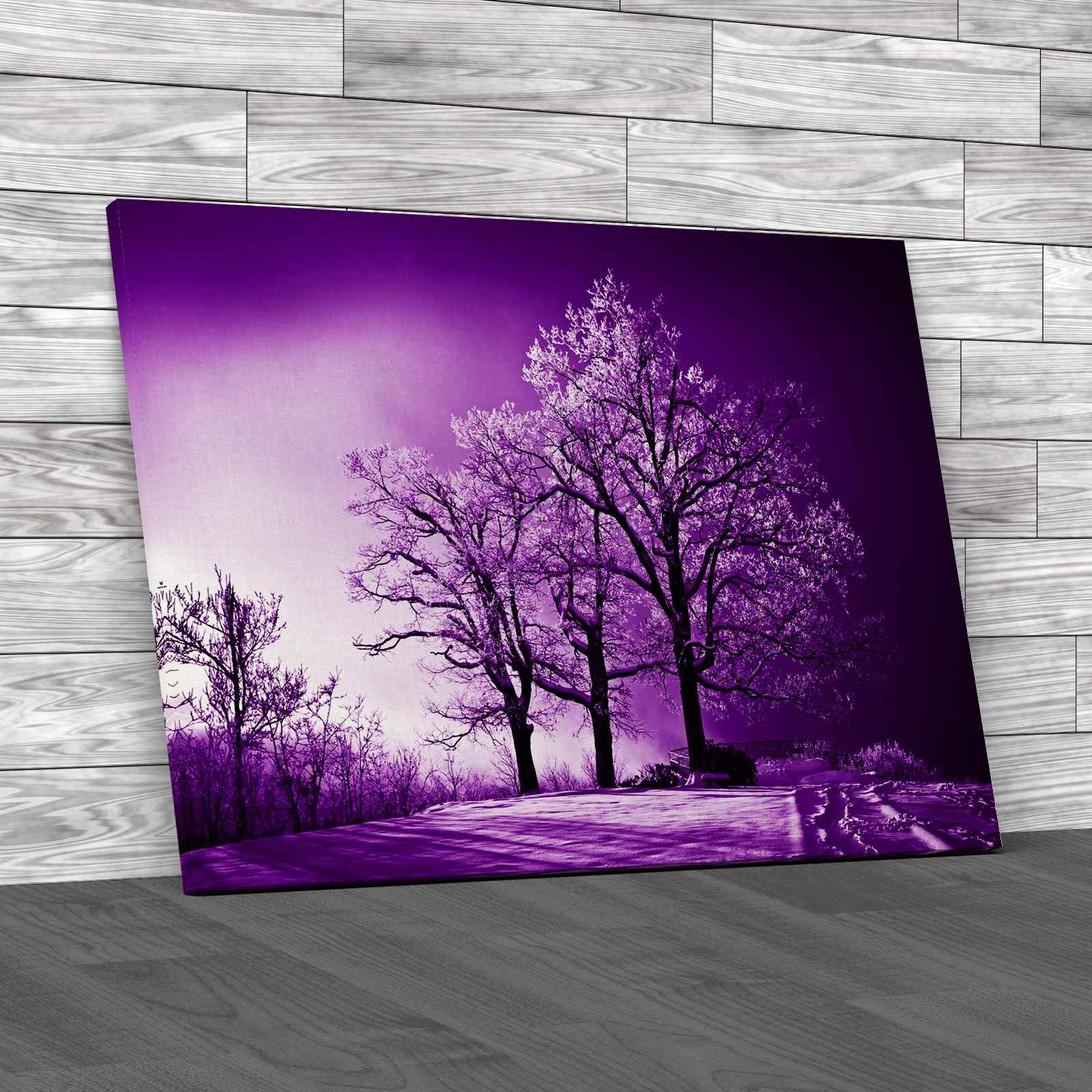 Ice And Frost Covered Oak Tree Canvas Print Large Picture Wall Art eBay