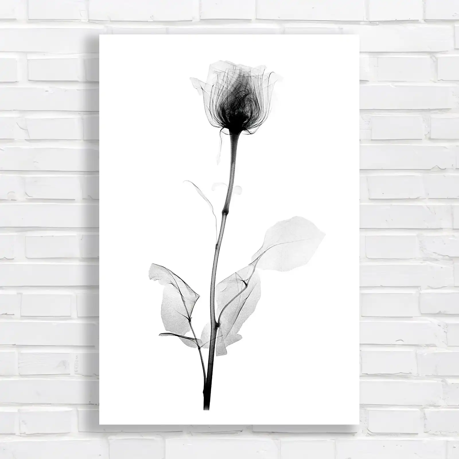 Ethereal Rose Black and White Floral Canvas Print Large Picture Wall Art