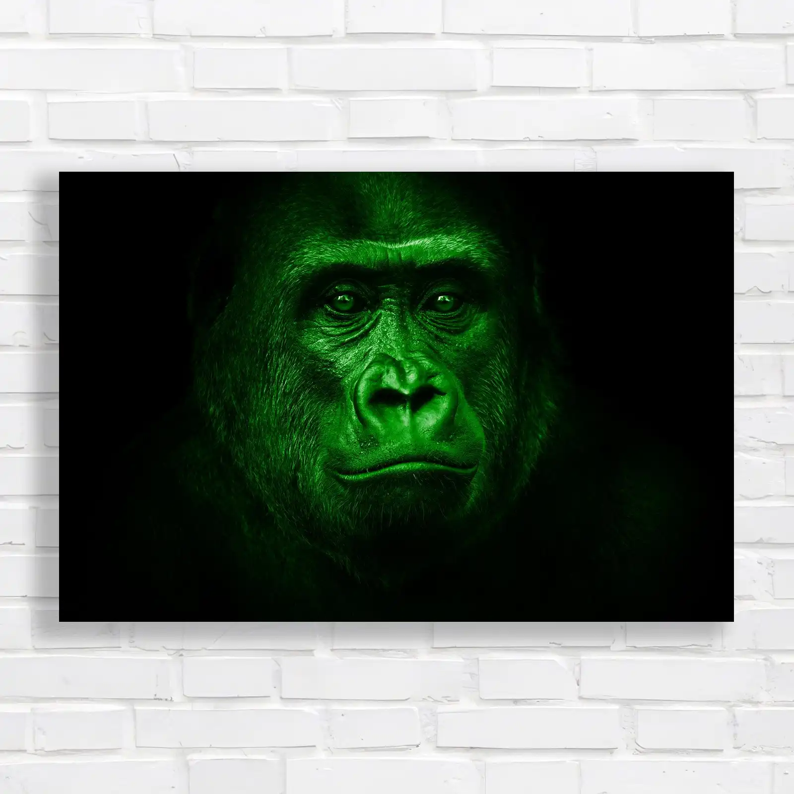 Powerful Gorilla Black and White Canvas Print Large Picture Wall Art
