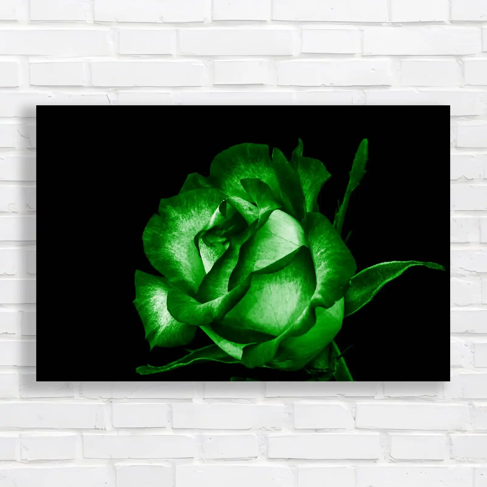 Black and White Rose Canvas Print Large Picture Wall Art