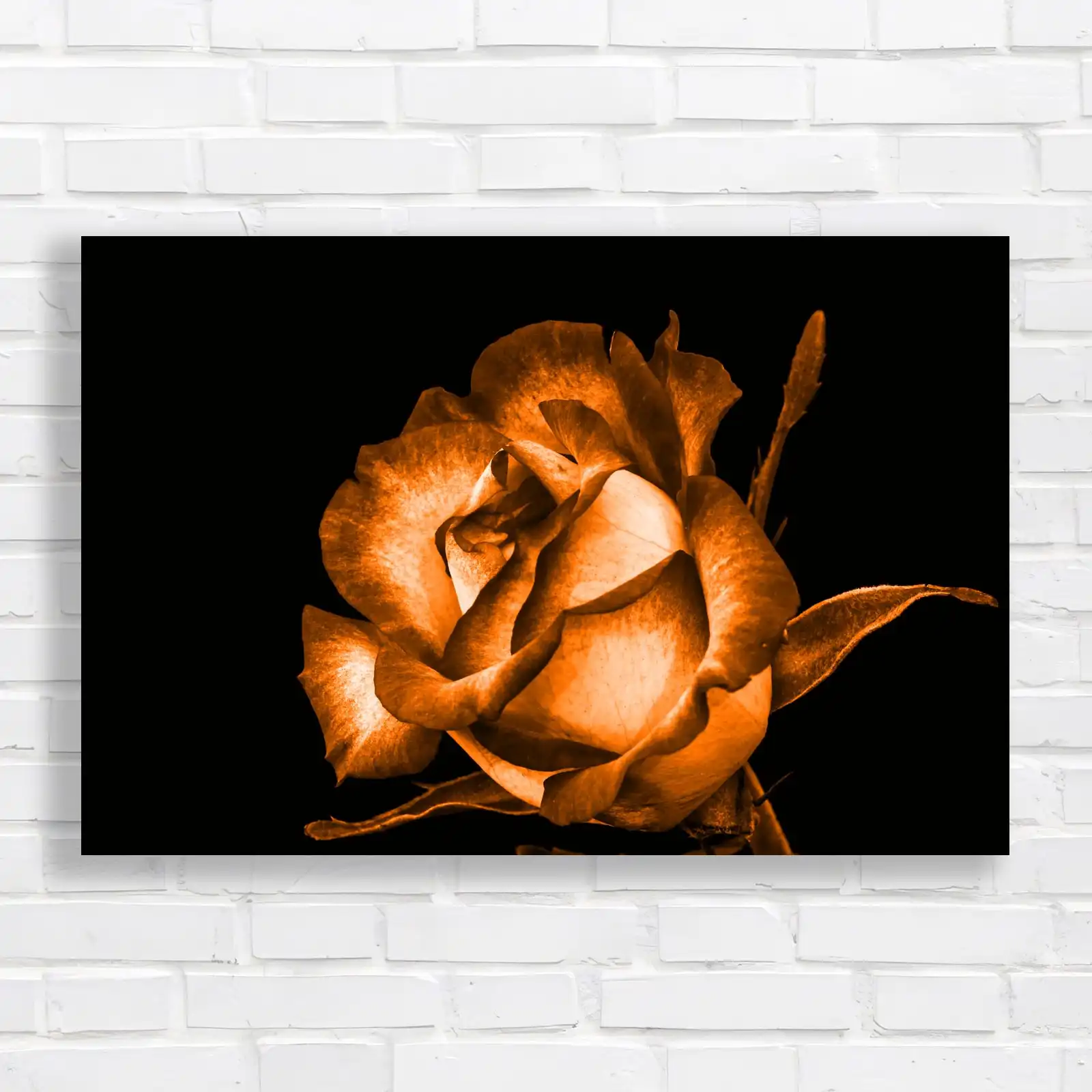 Black and White Rose Canvas Print Large Picture Wall Art