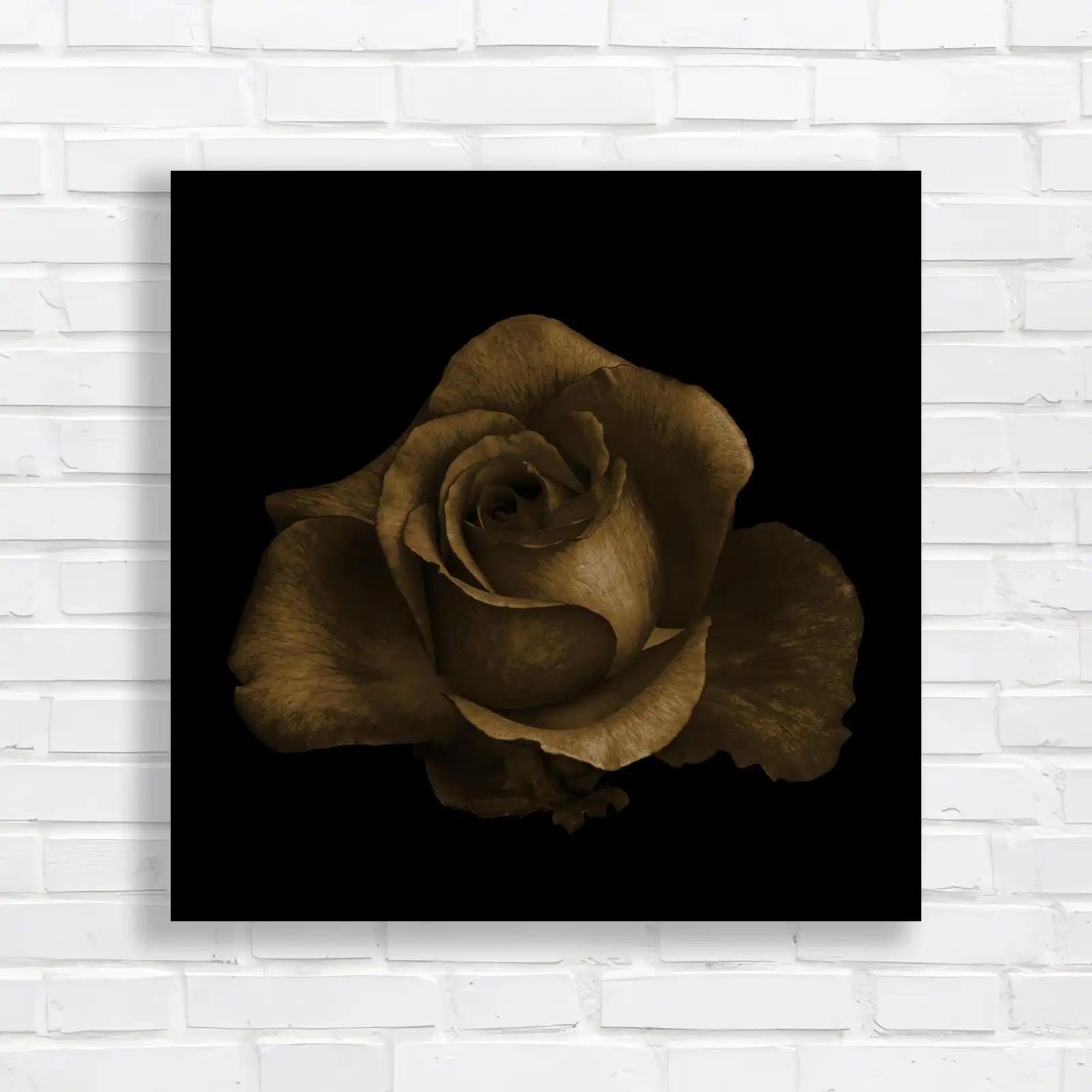 Vibrant Rose Floral for Home Canvas Print Large Picture Wall Art