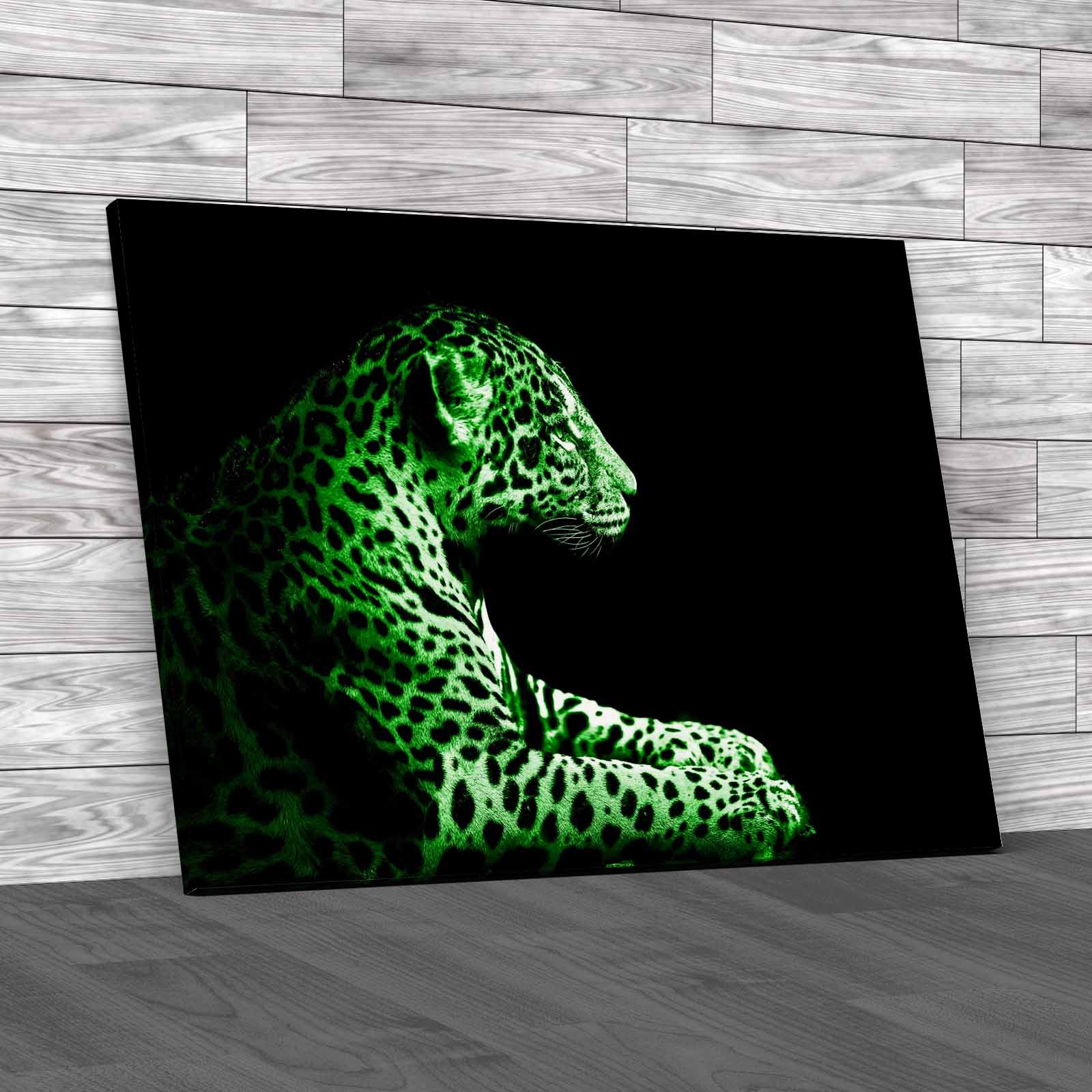 Leopard Sitting Canvas Print Large Picture Wall Art - Picture 7 of 12