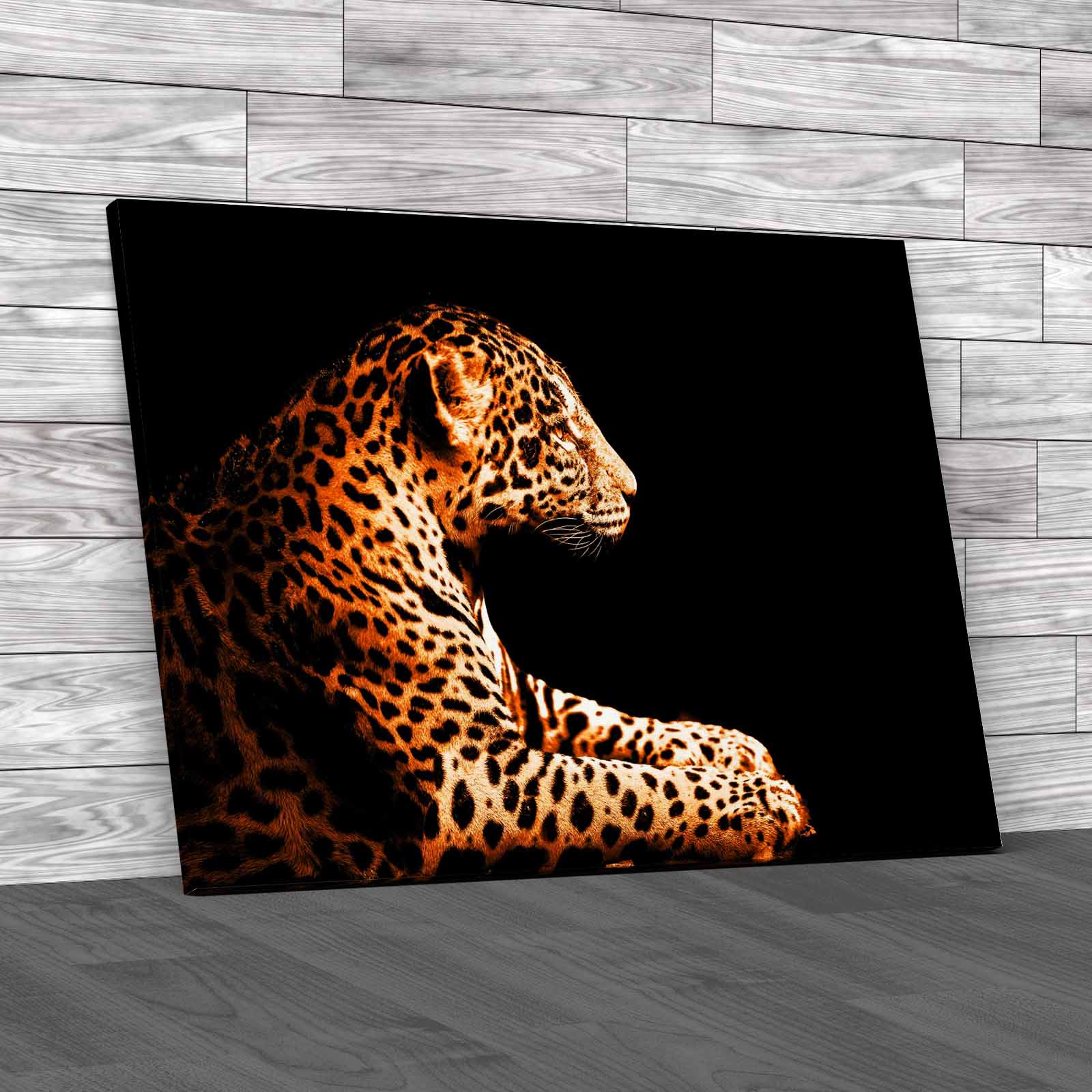 Leopard Sitting Canvas Print Large Picture Wall Art - Picture 11 of 12