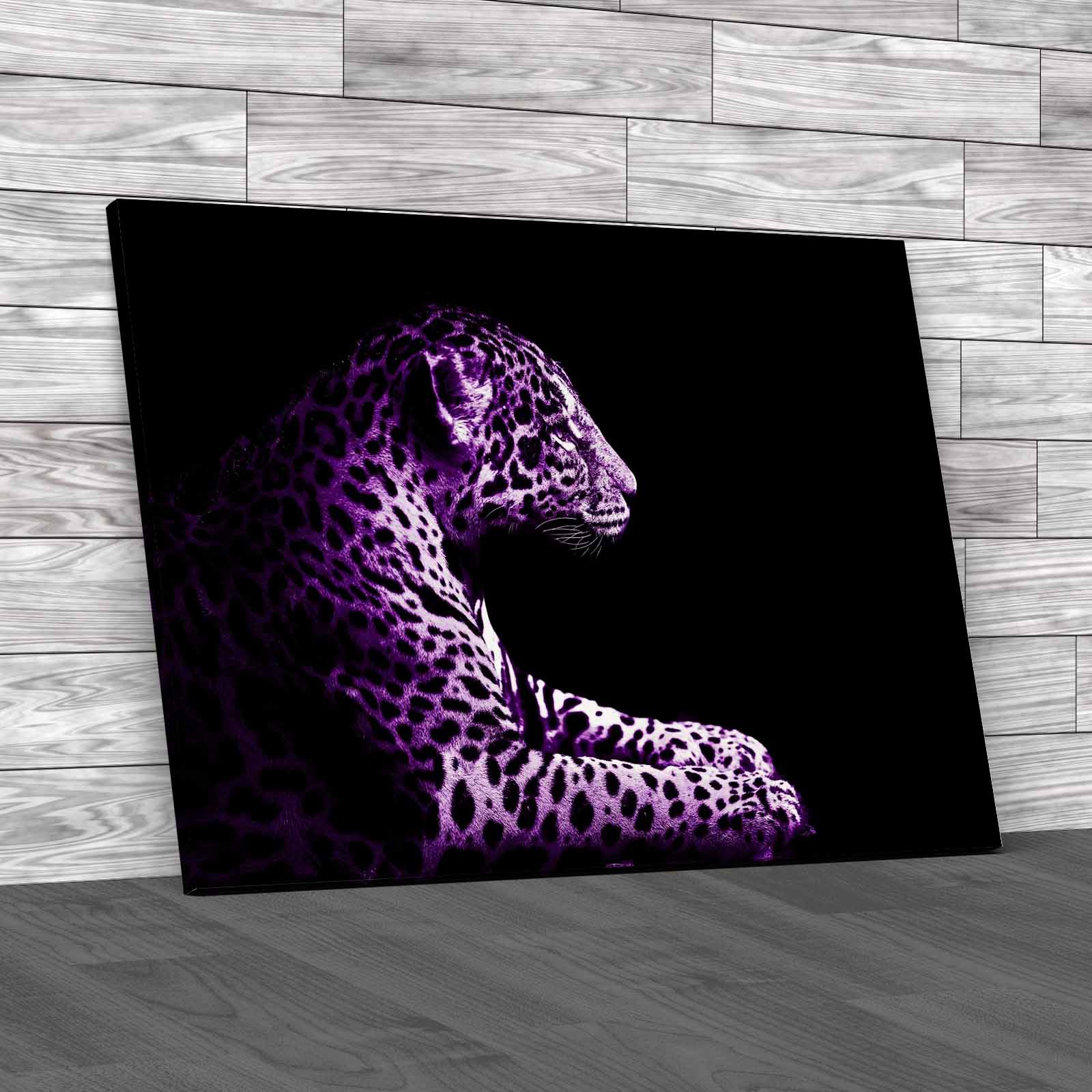 Leopard Sitting Canvas Print Large Picture Wall Art - Picture 8 of 12