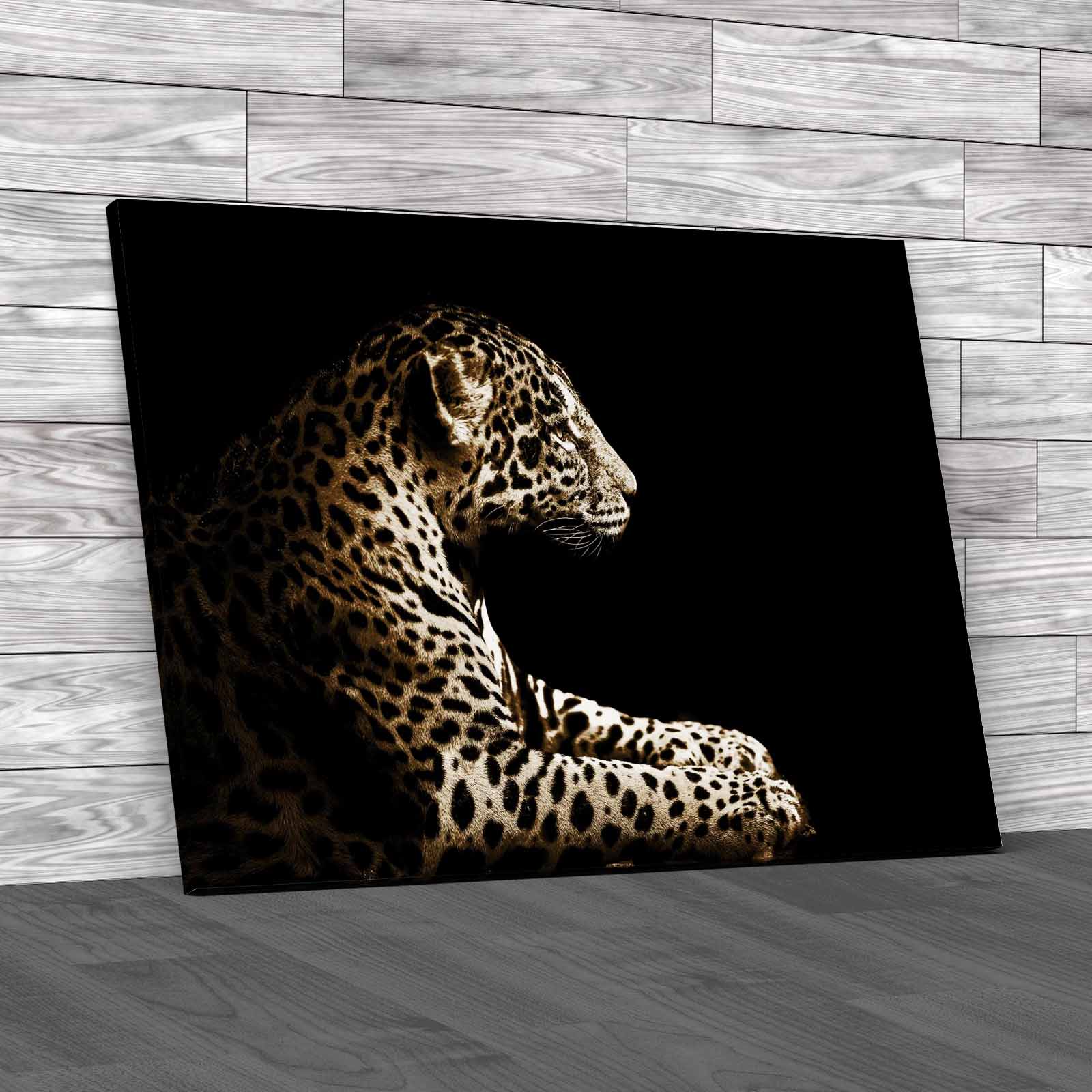 Leopard Sitting Canvas Print Large Picture Wall Art - Picture 12 of 12