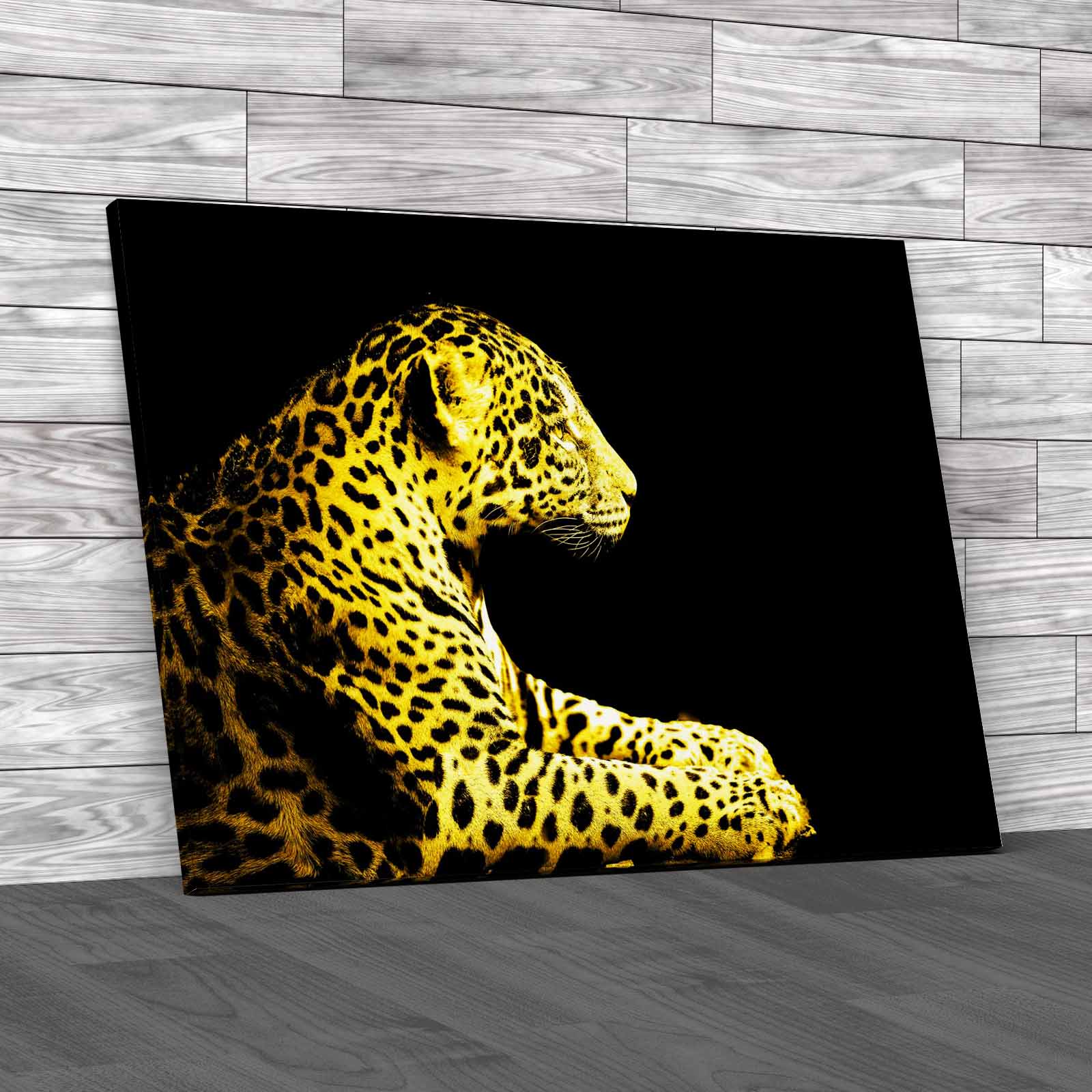 Leopard Sitting Canvas Print Large Picture Wall Art - Picture 10 of 12
