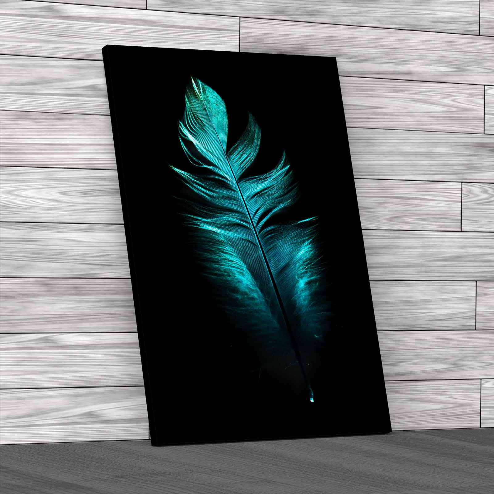 Faint Feather Canvas Print Large Picture Wall Art