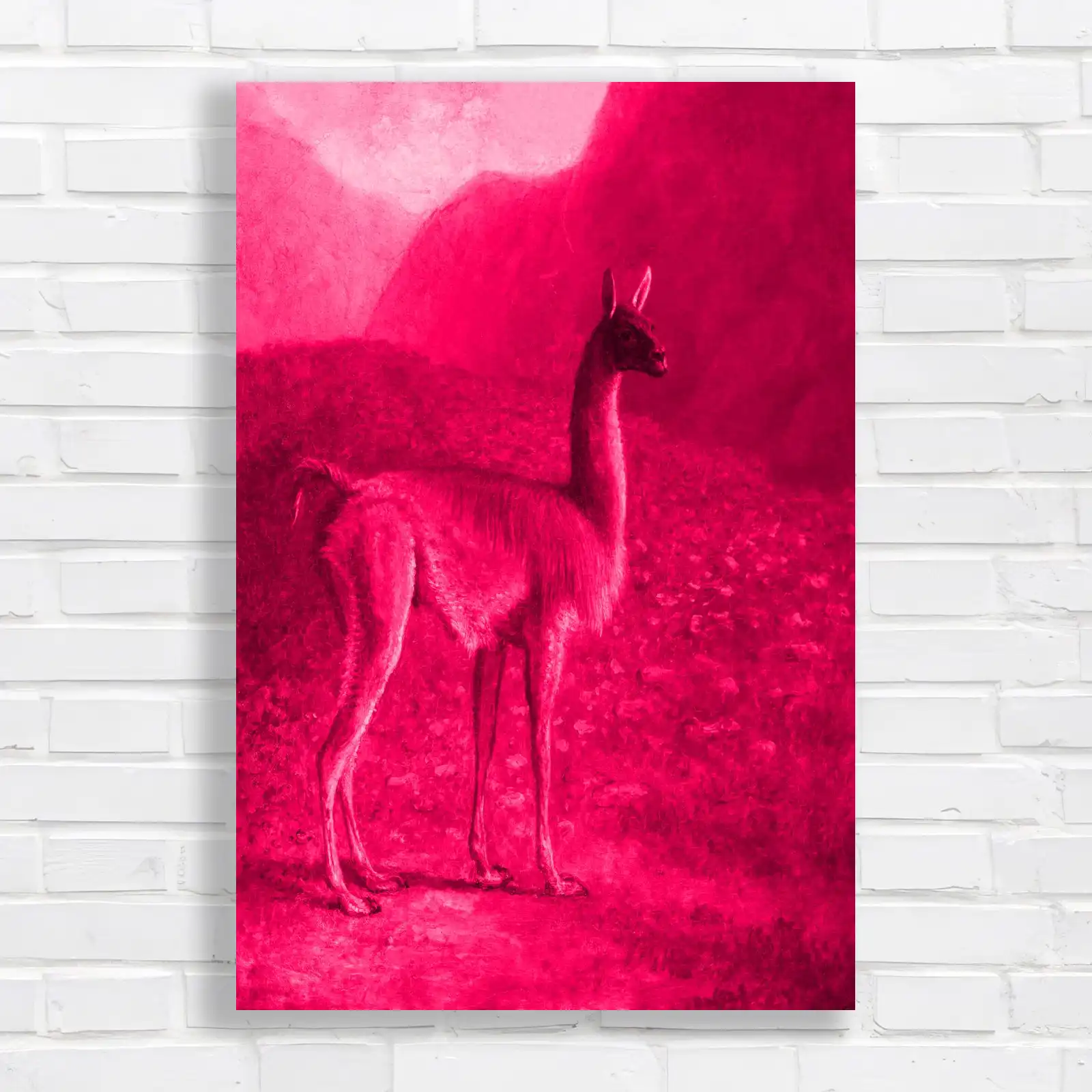 Majestic Llama Wildlife Nature Canvas Print Large Picture Wall Art