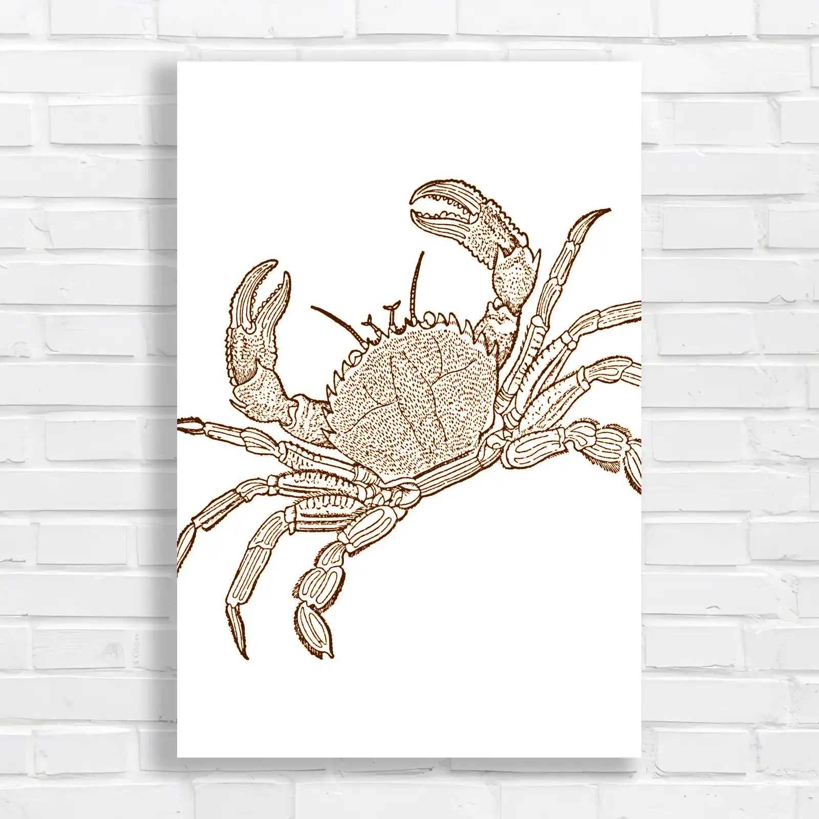 Detailed Crab Coastal Nautical Canvas Print Large Picture Wall Art