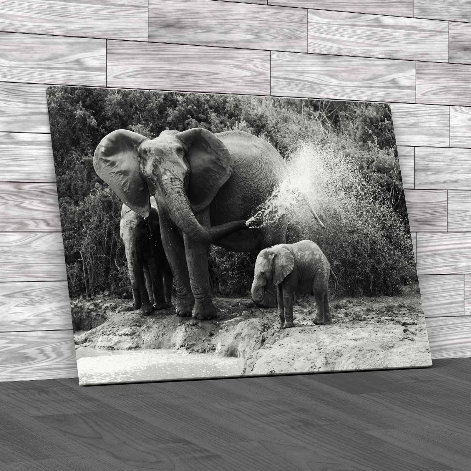 African Elephant Mother And Baby Cooling Off Canvas Print Large Picture Wall Art