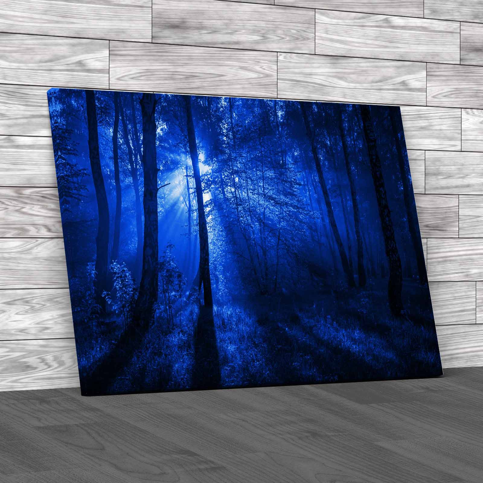 Autumn Colourful Forest Canvas Print Large Picture Wall Art