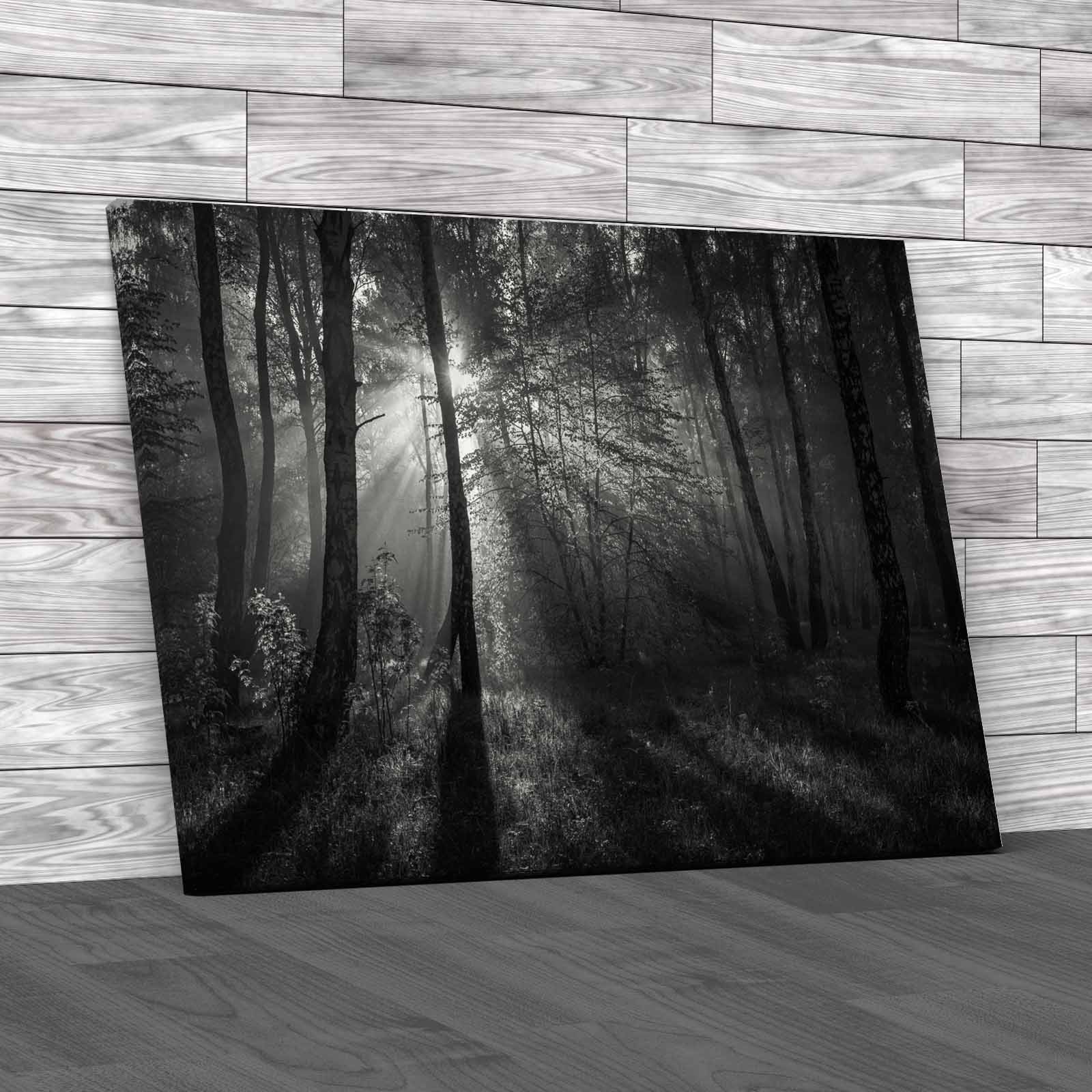 Autumn Colourful Forest Canvas Print Large Picture Wall Art
