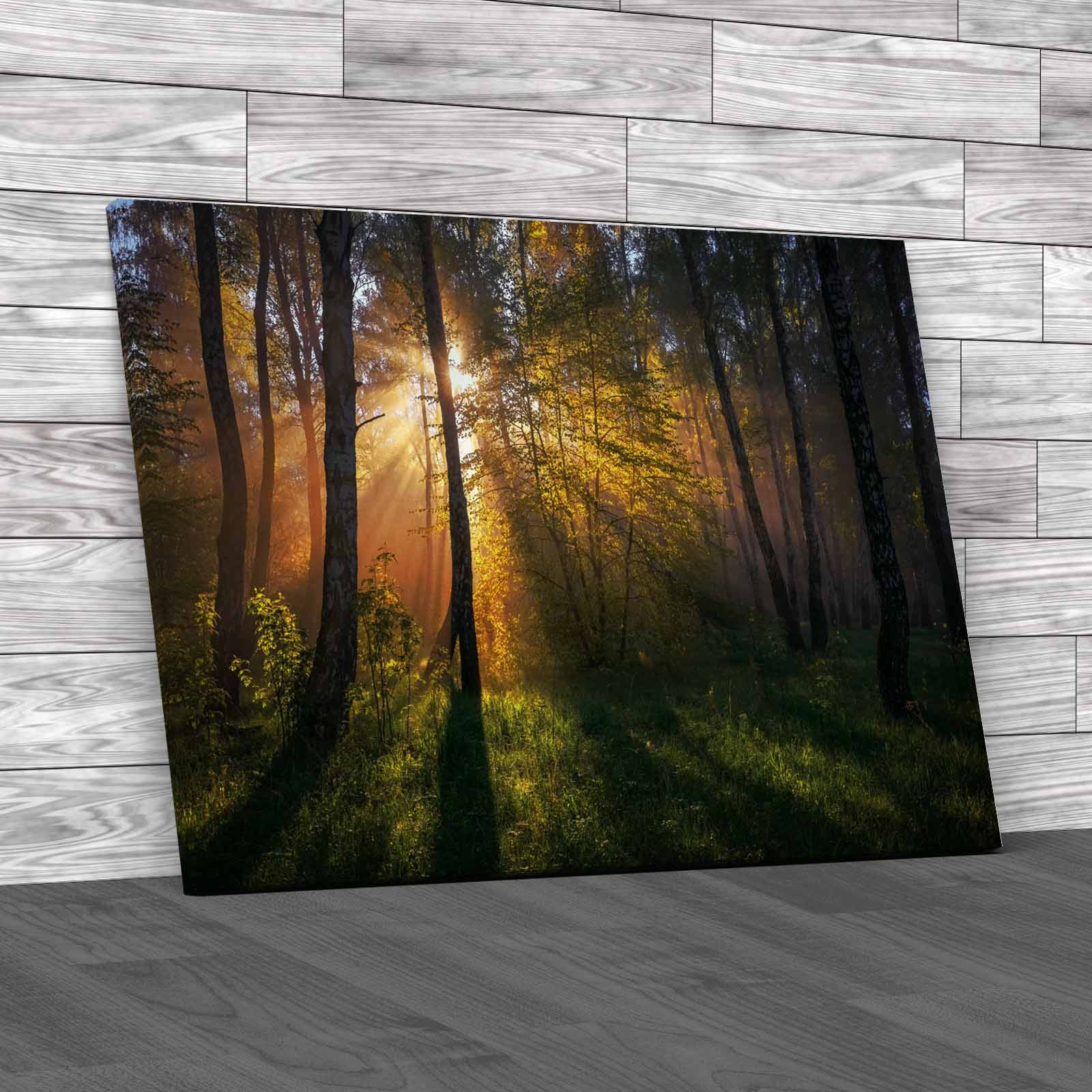 Autumn Colourful Forest Canvas Print Large Picture Wall Art