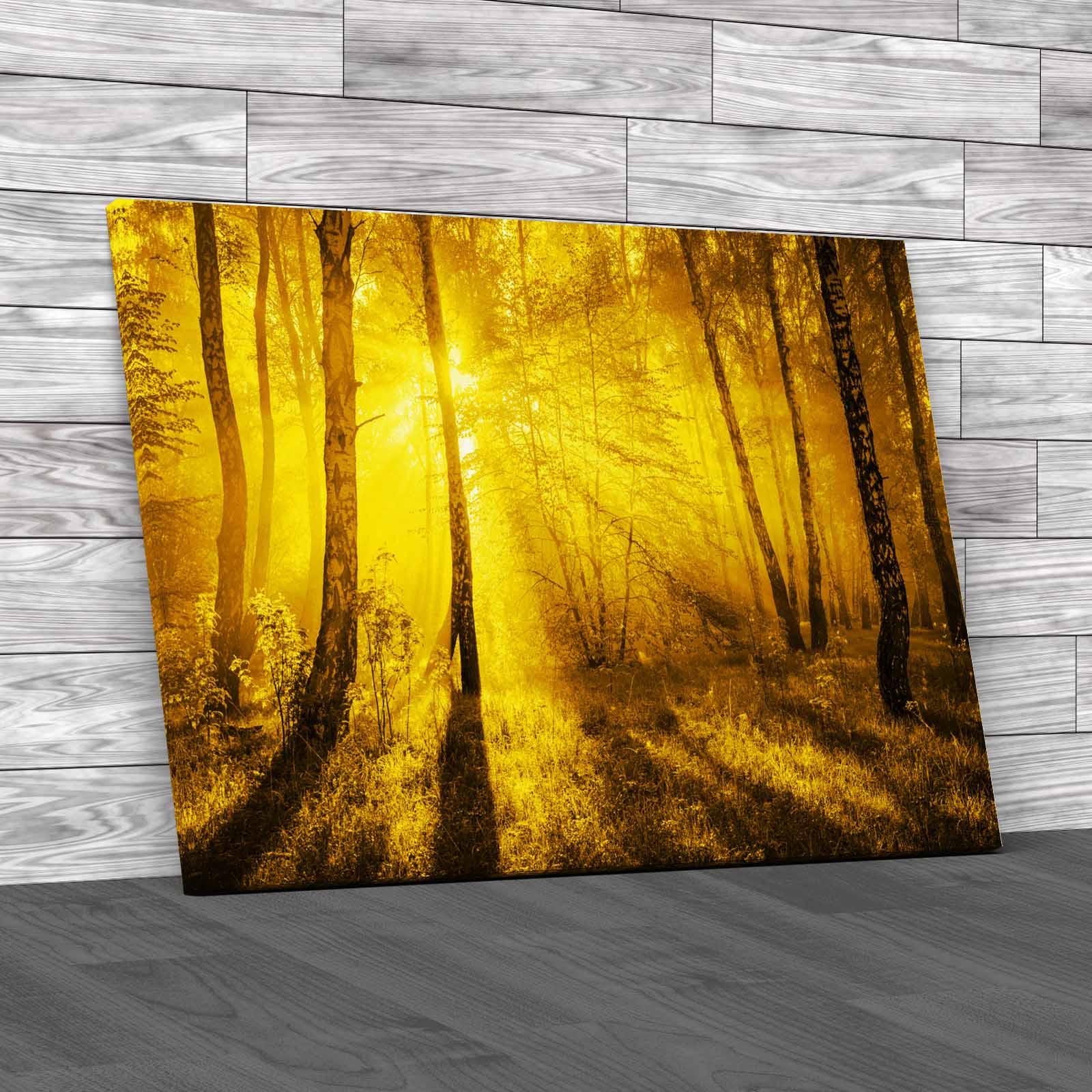 Autumn Colourful Forest Canvas Print Large Picture Wall Art