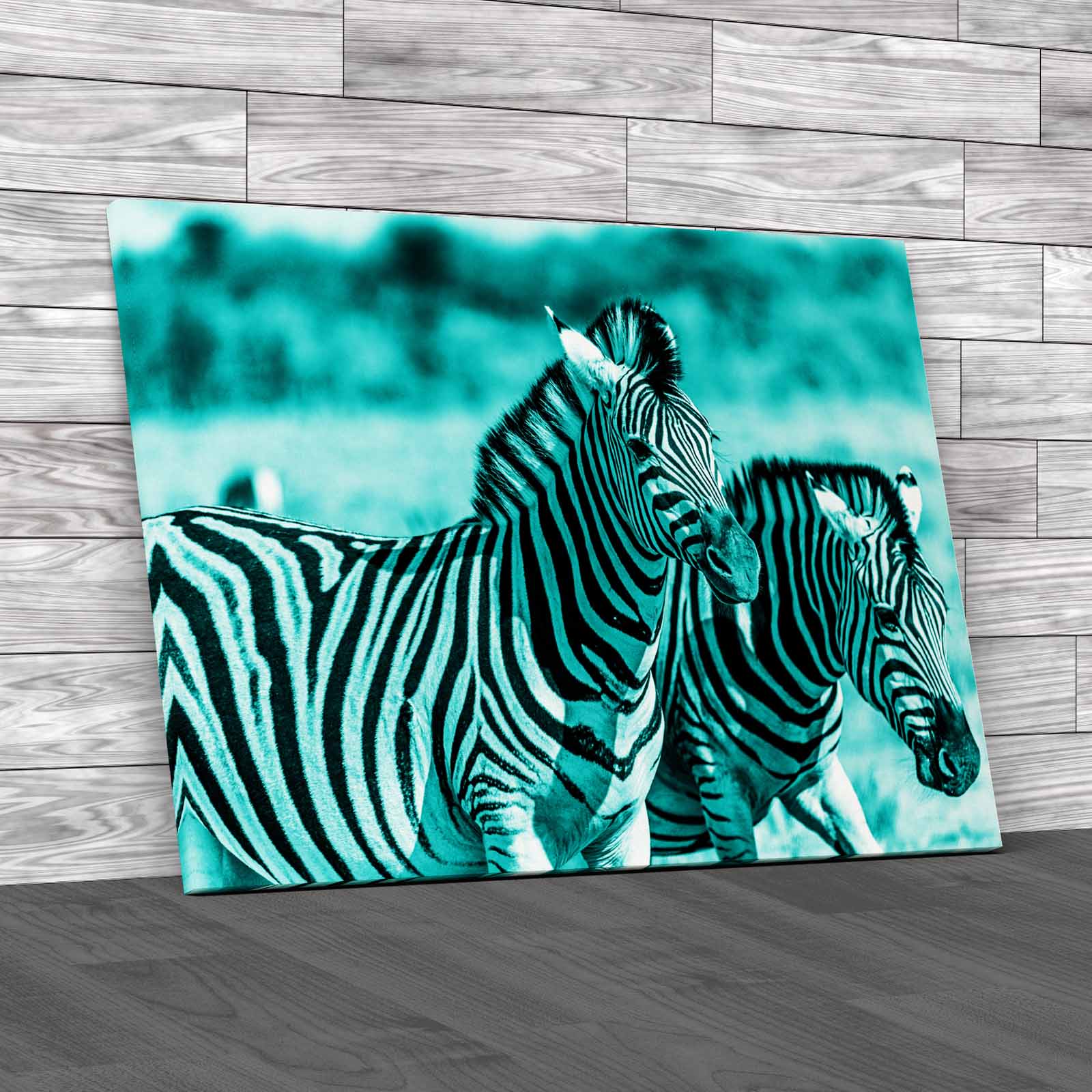 Zebra In Love Canvas Print Large Picture Wall Art eBay