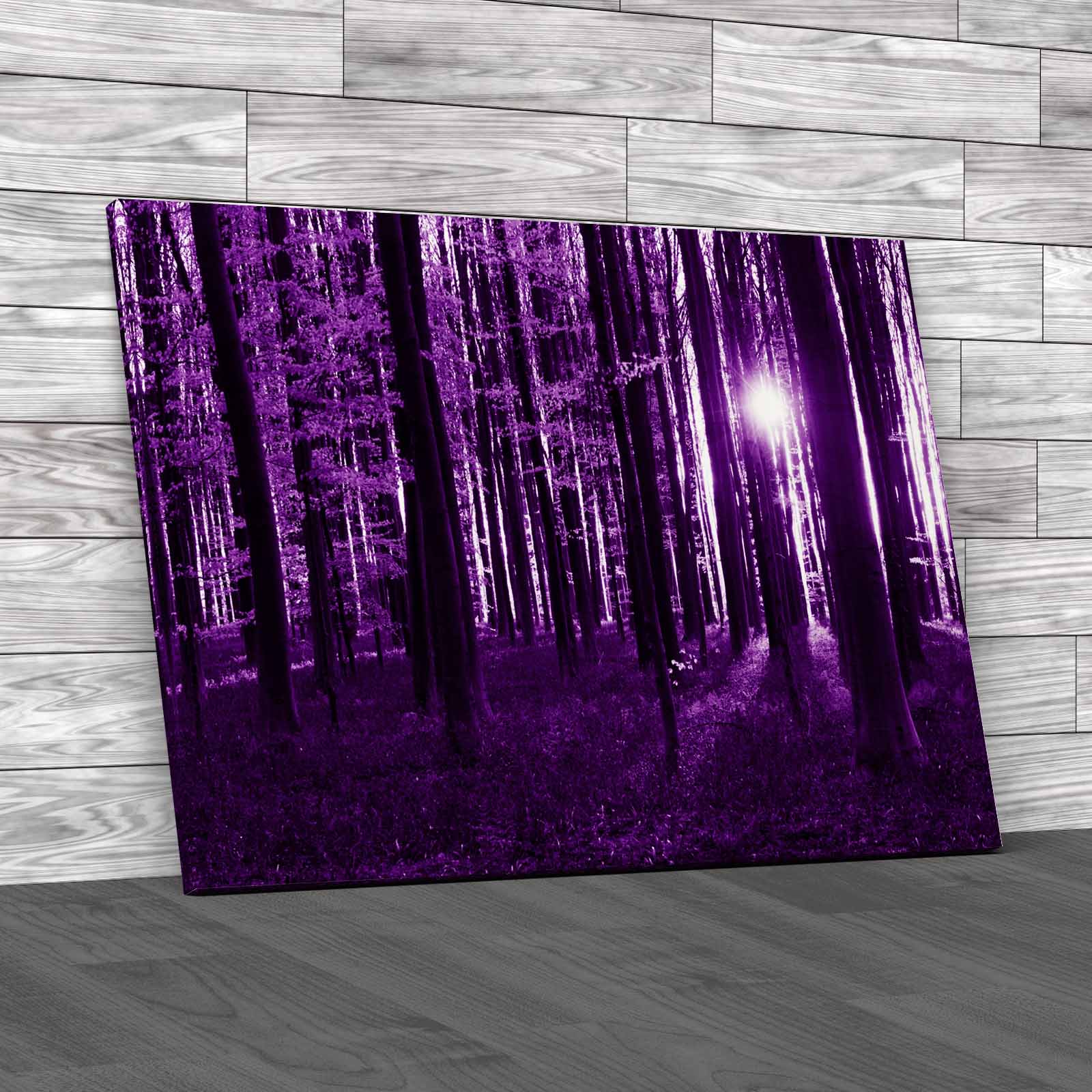 Bluebells In Forest Canvas Print Large Picture Wall Art EBay