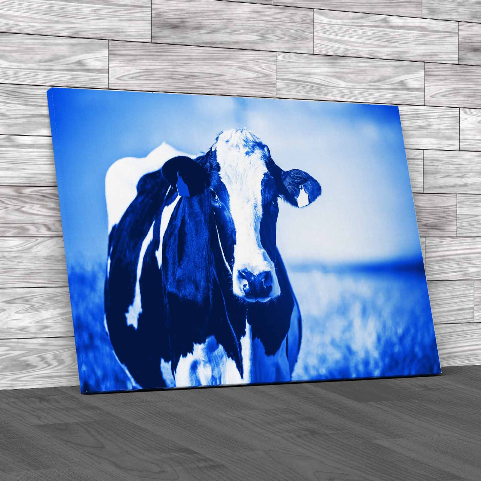 Dairy Cow On The Countryside Canvas Print Large Picture Wall Art - Picture 5 of 12