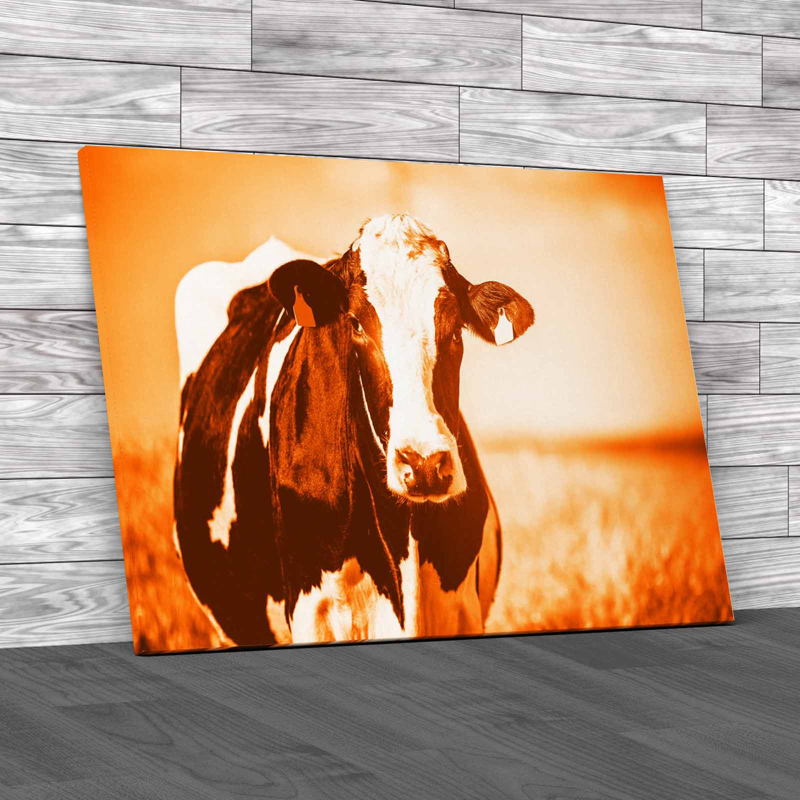Dairy Cow On The Countryside Canvas Print Large Picture Wall Art - Picture 11 of 12
