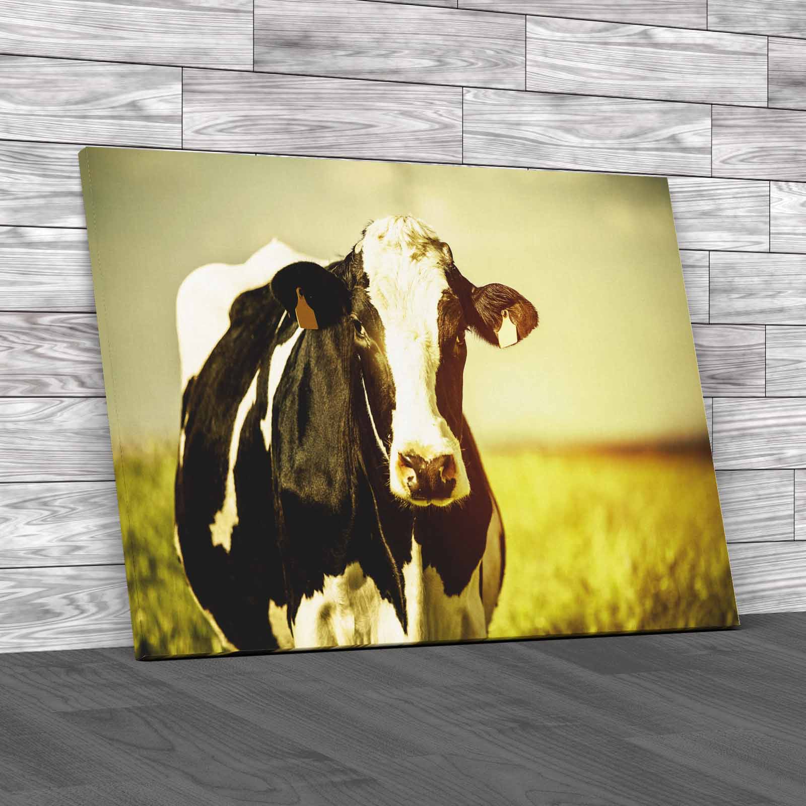 Dairy Cow On The Countryside Canvas Print Large Picture Wall Art - Picture 2 of 12