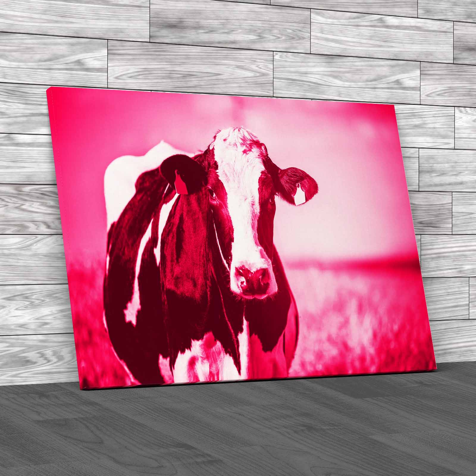 Dairy Cow On The Countryside Canvas Print Large Picture Wall Art - Picture 9 of 12