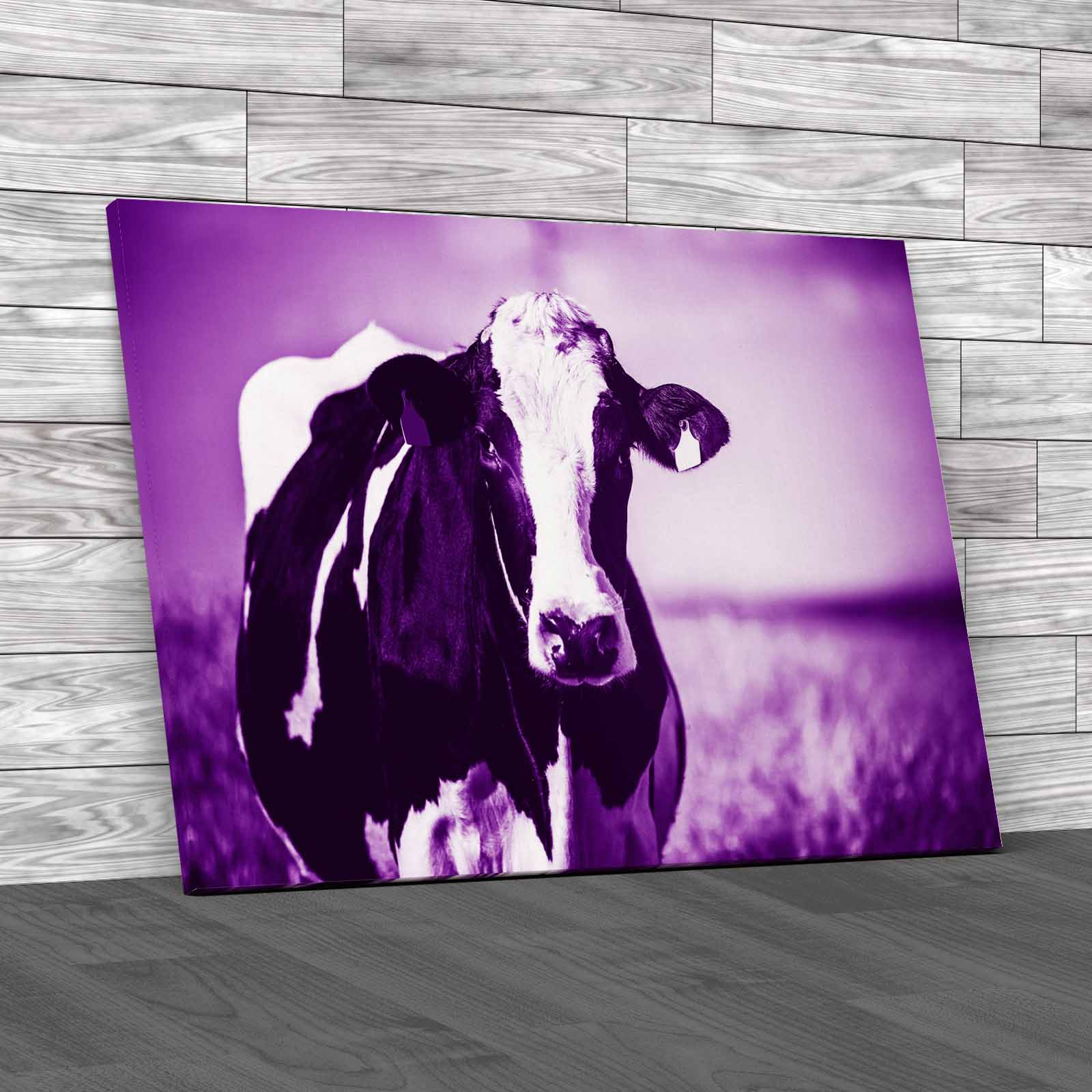 Dairy Cow On The Countryside Canvas Print Large Picture Wall Art - Picture 8 of 12