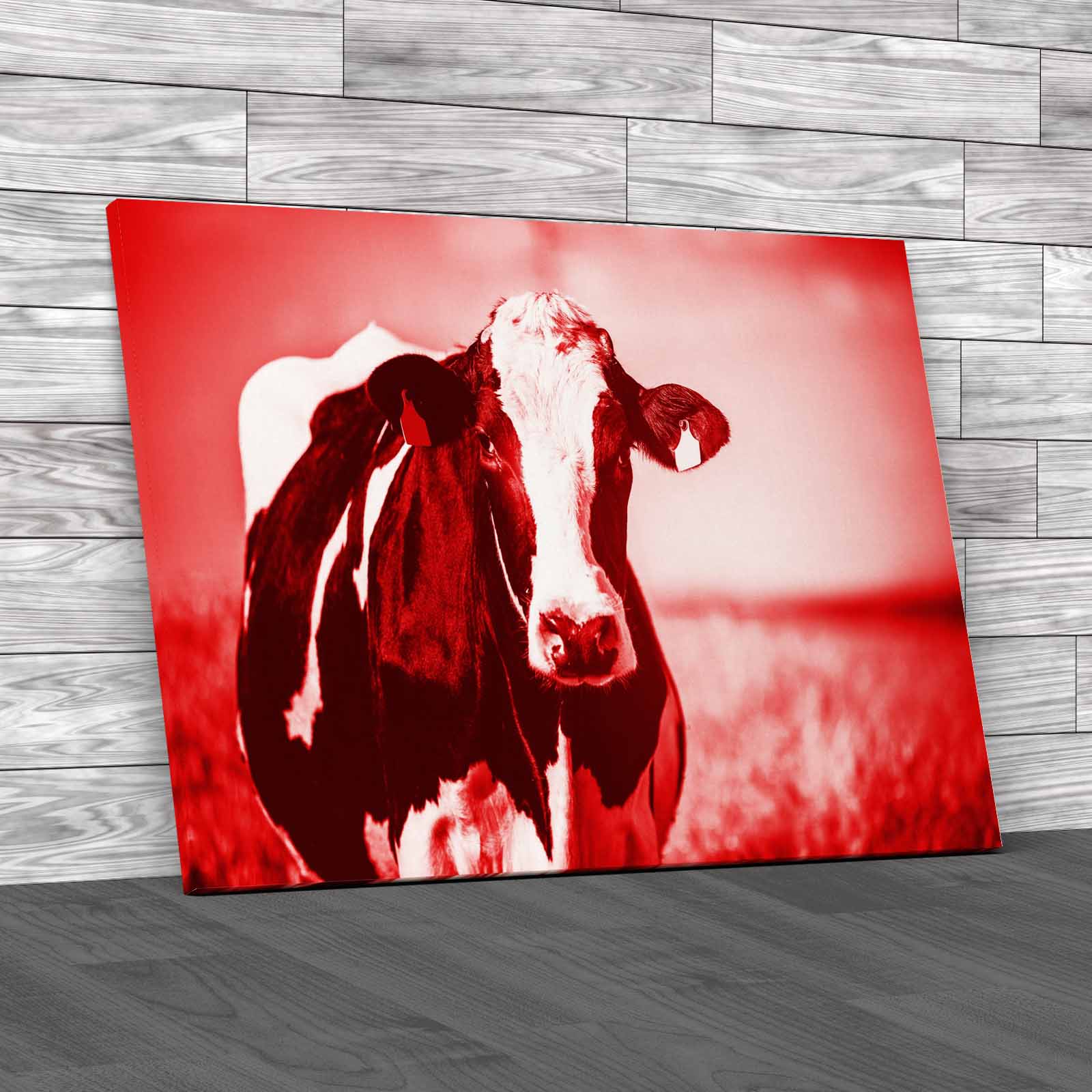 Dairy Cow On The Countryside Canvas Print Large Picture Wall Art - Picture 4 of 12