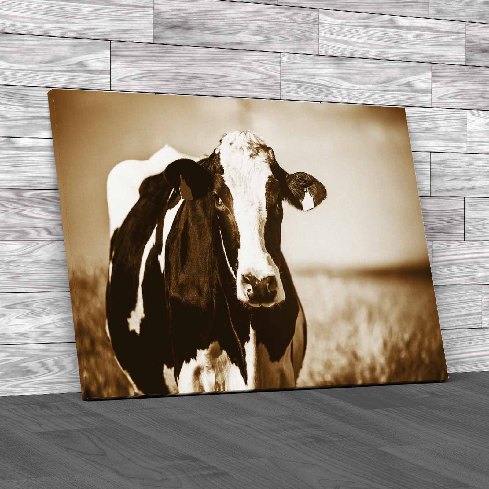 Dairy Cow On The Countryside Canvas Print Large Picture Wall Art - Picture 12 of 12