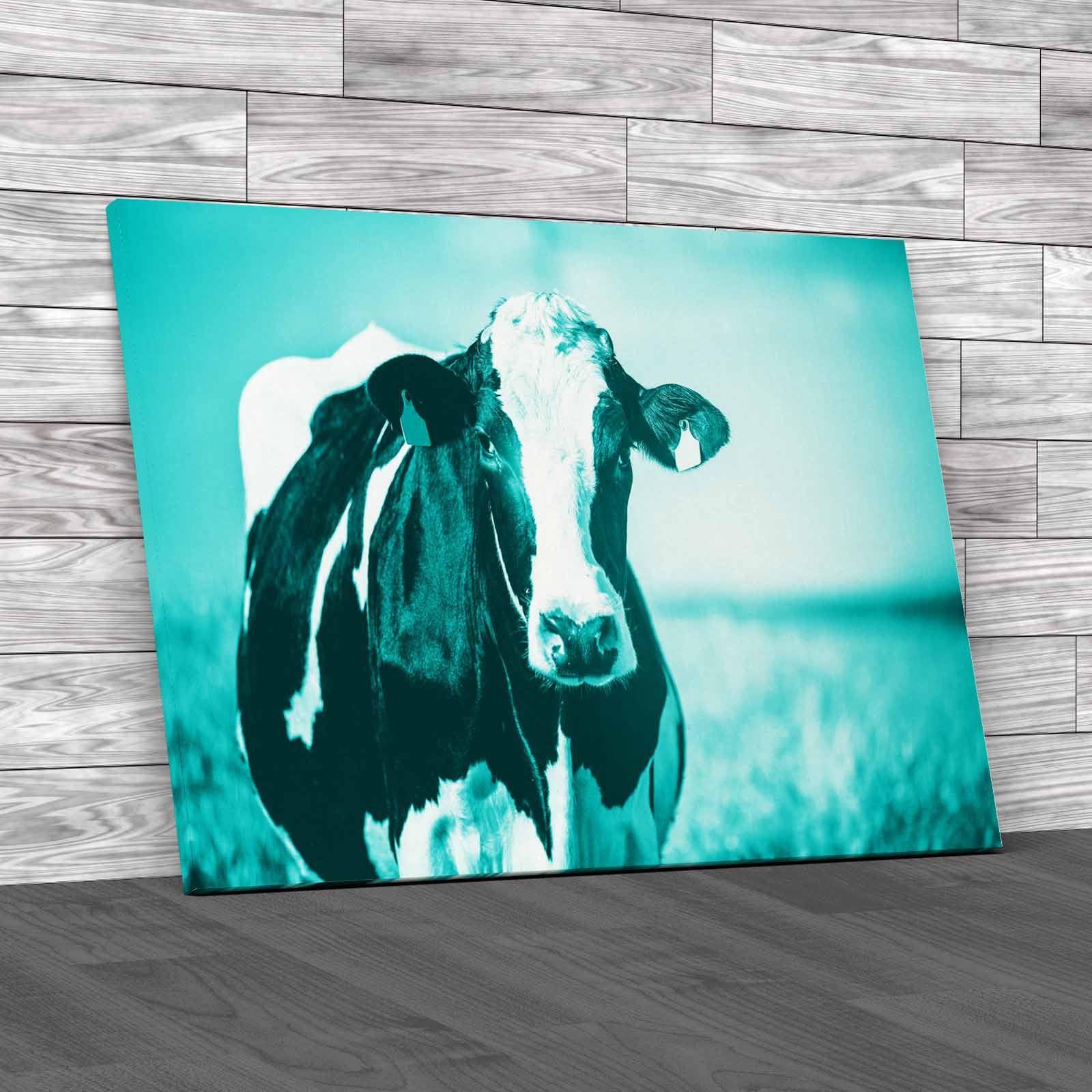 Dairy Cow On The Countryside Canvas Print Large Picture Wall Art - Picture 6 of 12