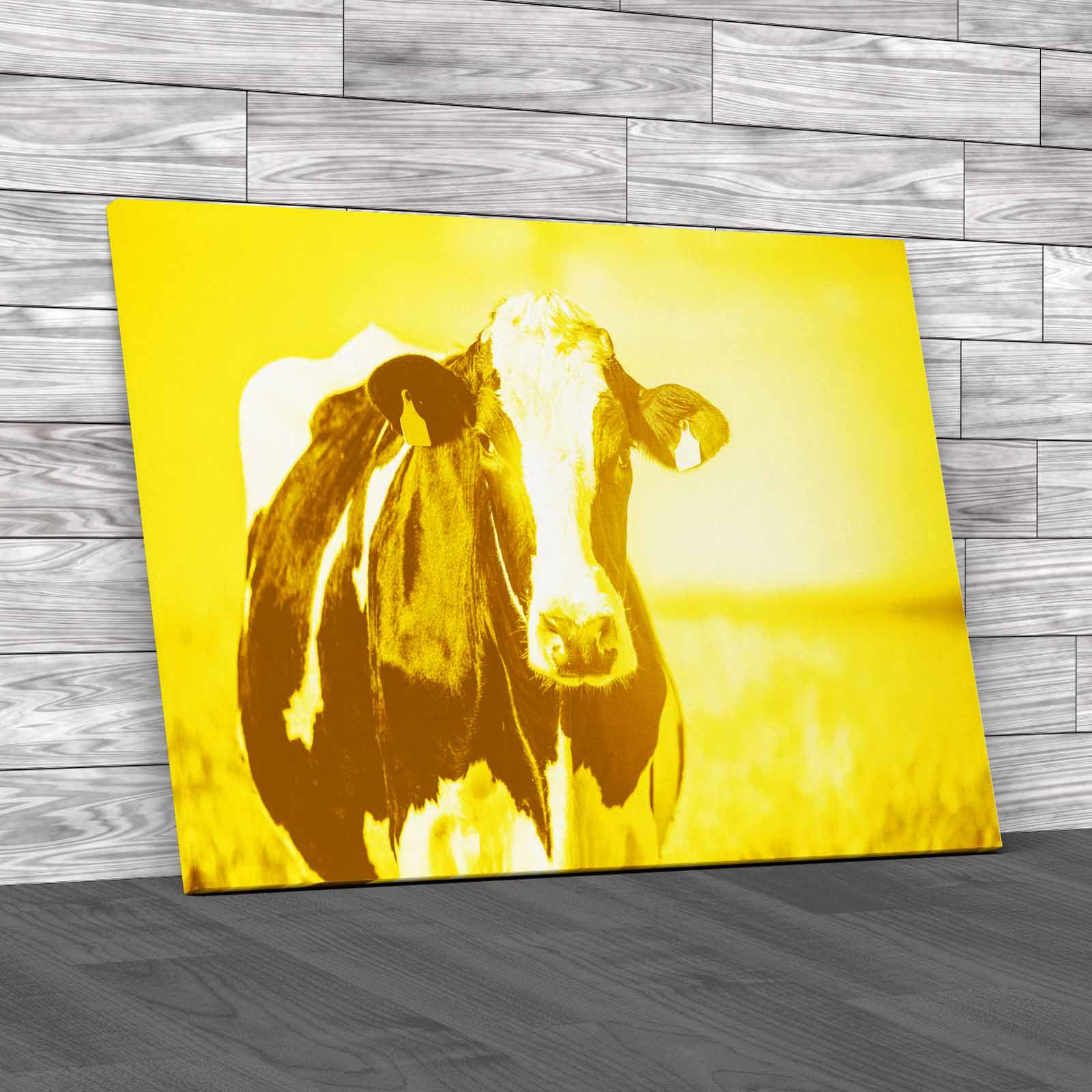 Dairy Cow On The Countryside Canvas Print Large Picture Wall Art - Picture 10 of 12