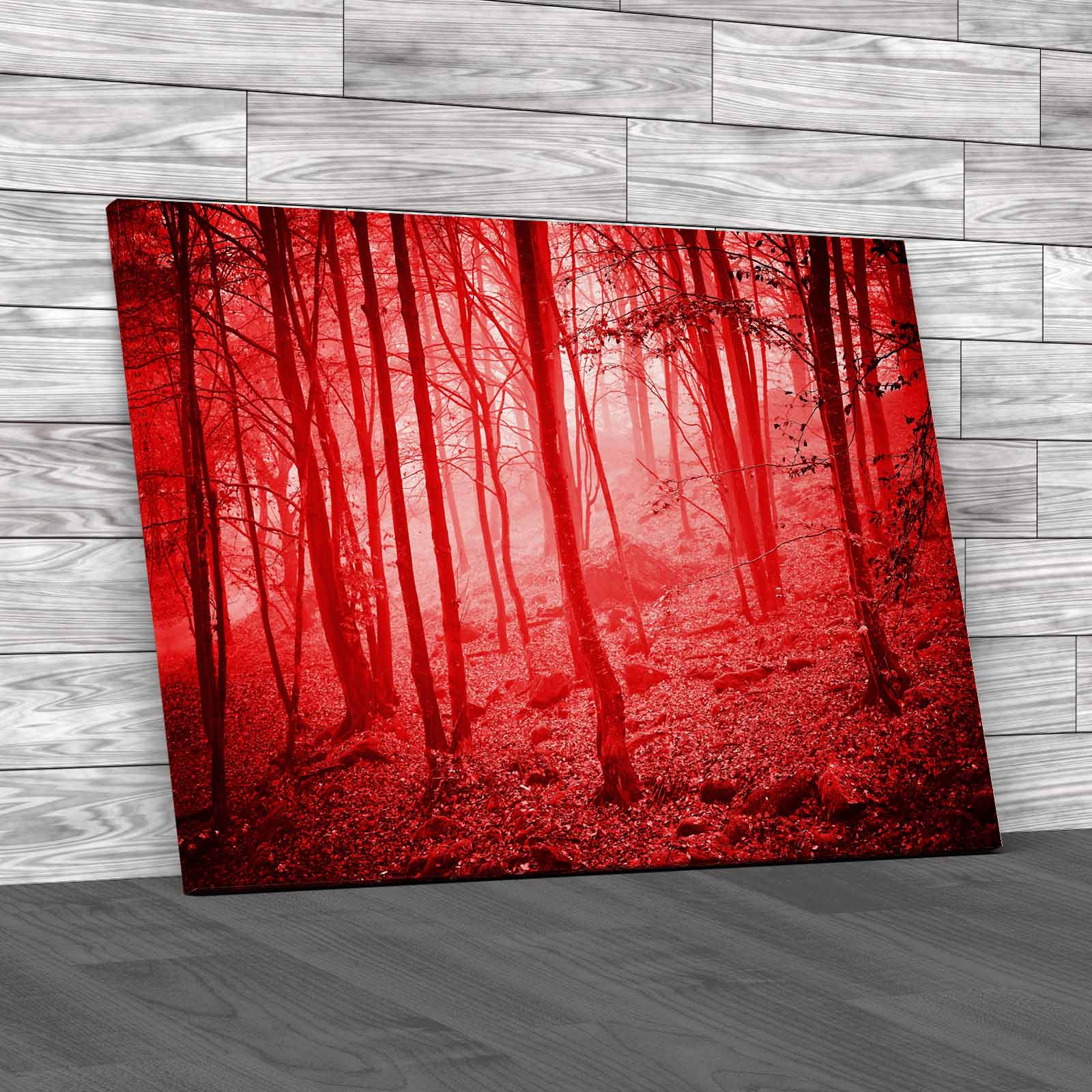 Forest Scene Canvas Print Large Picture Wall Art eBay