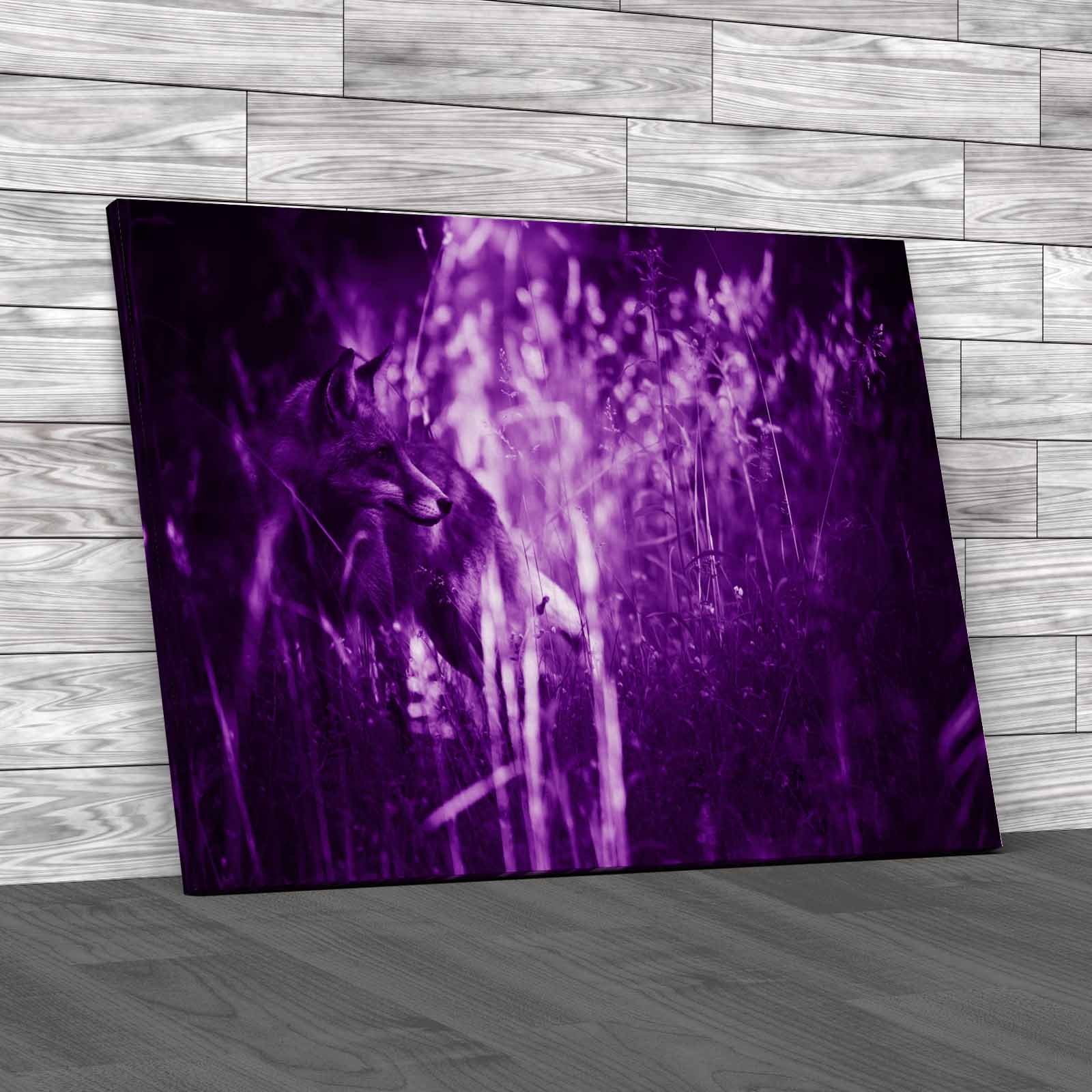 amazon-wall-art-doppler-seattle-amazon-wall-art-wall-art-art