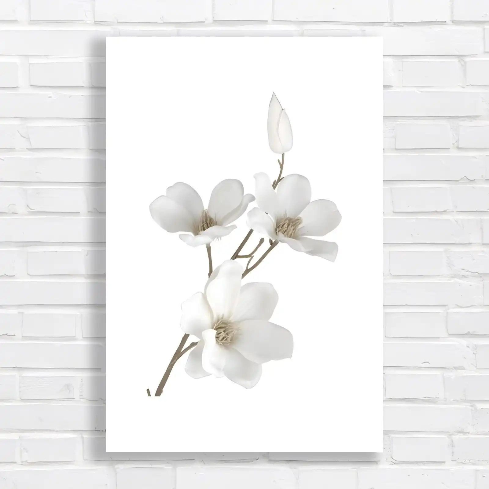 Elegant White Magnolia Canvas Print Large Picture Wall Art