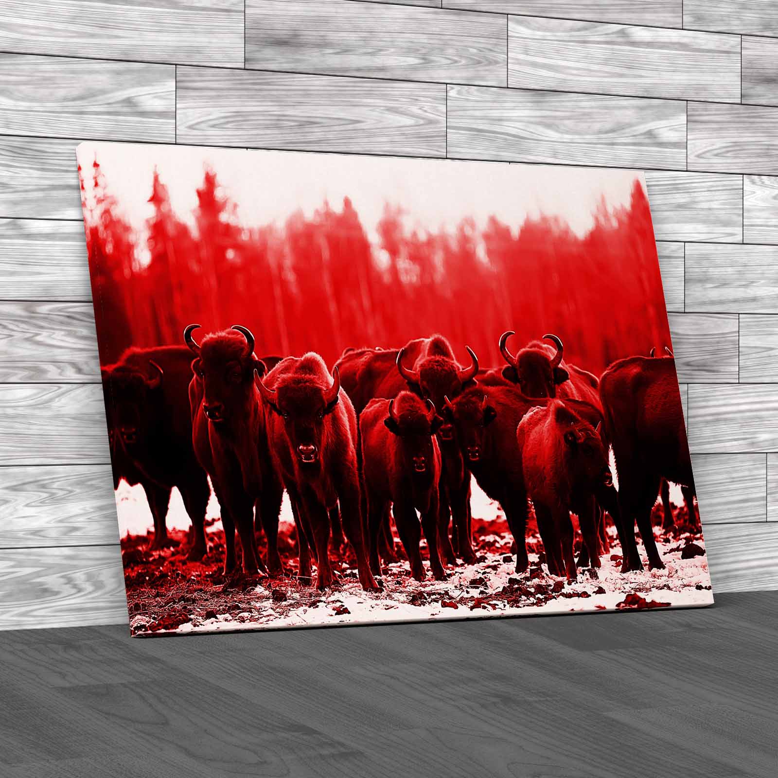 Exploring The Winter Habits Of Buffalo Animals Canvas Print Large Picture Wall - Picture 4 of 12